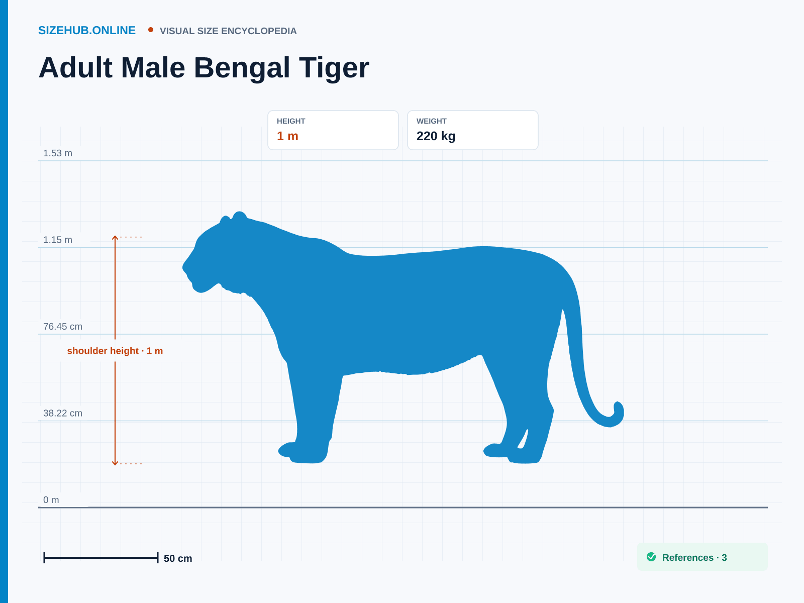 Adult Male Bengal Tiger: Size infographic · Height 1 m · Length 2.9 m