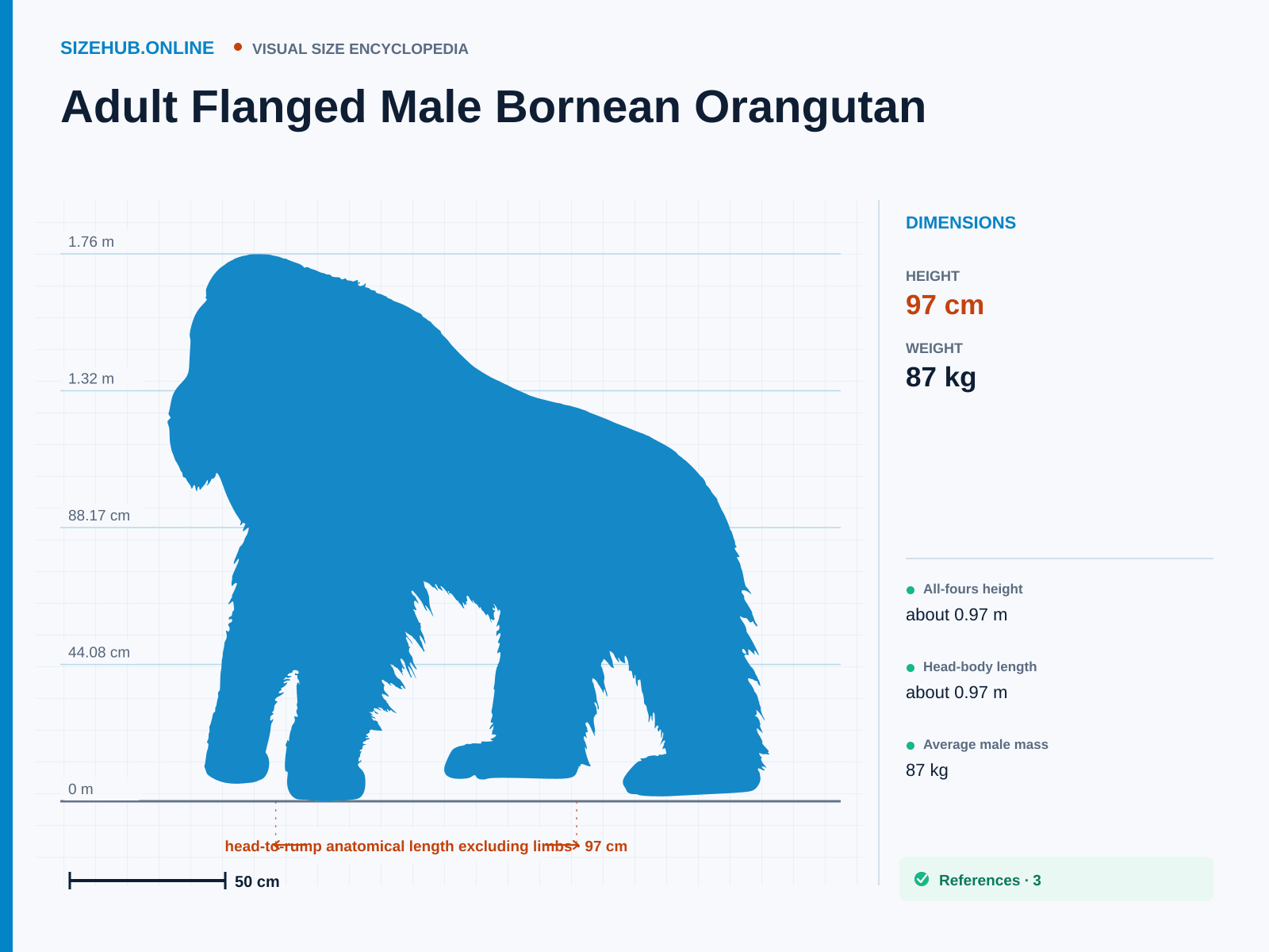 Adult Flanged Male Bornean Orangutan: Size infographic · Height 97 cm · Length 97 cm