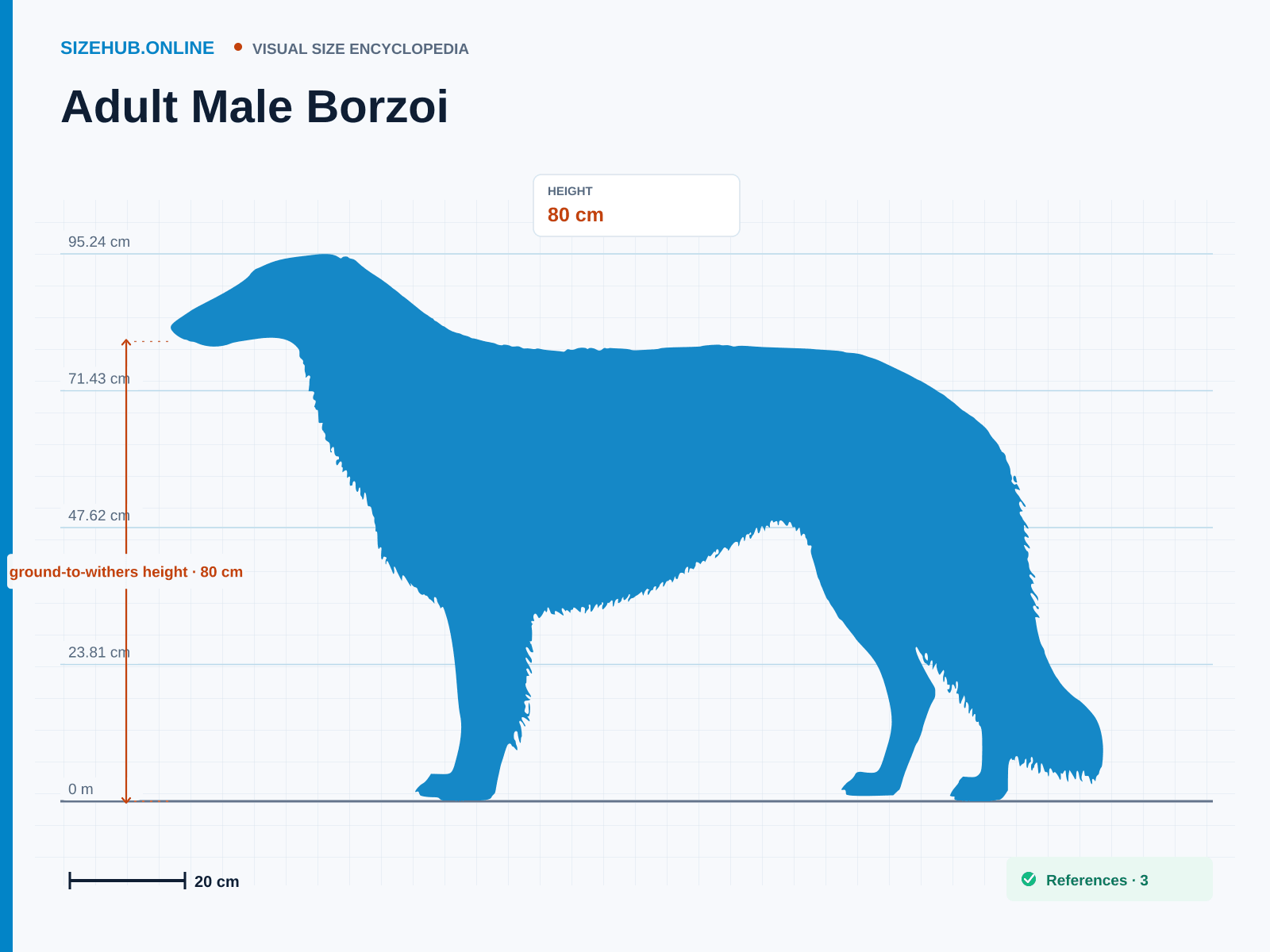 Adult Male Borzoi: Size infographic · Height 80 cm