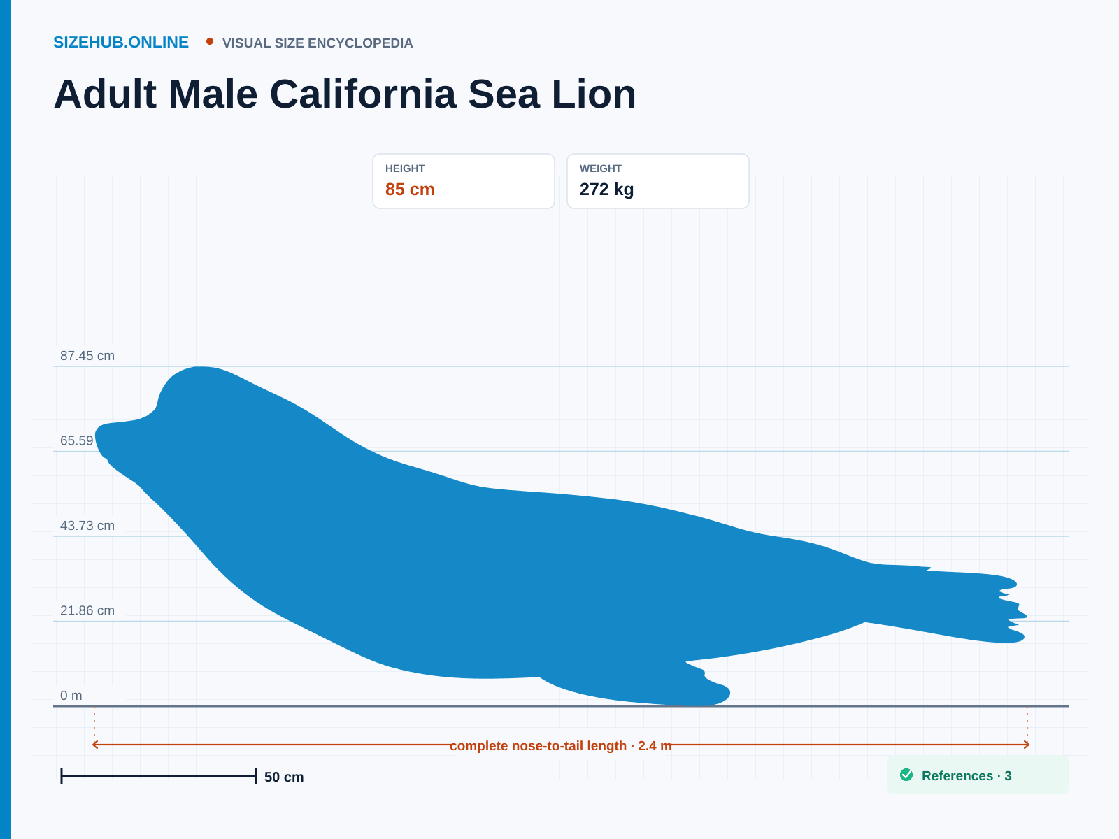 Adult Male California Sea Lion: Size infographic · Height 85 cm · Length 2.4 m