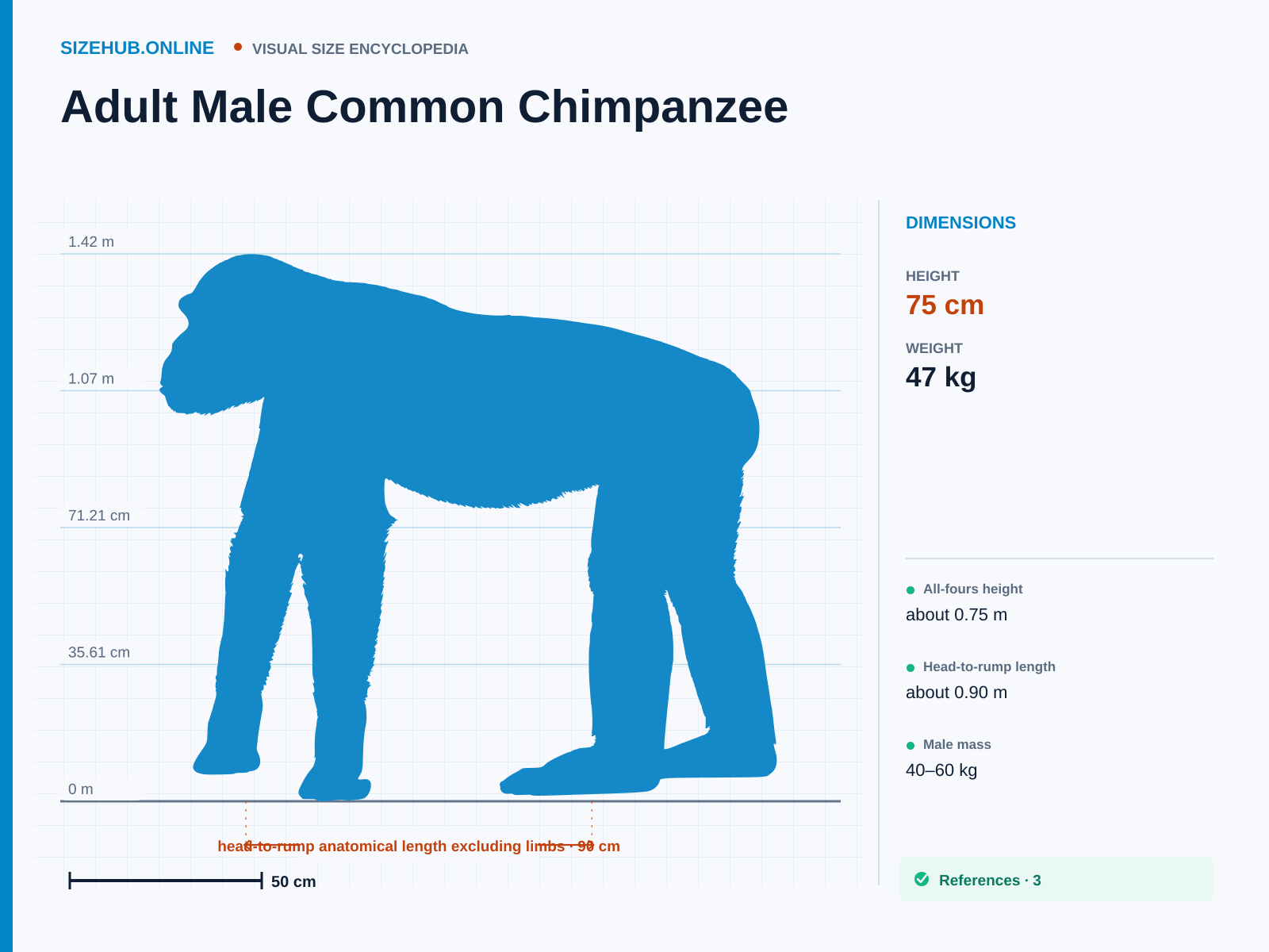 Adult Male Common Chimpanzee: Size infographic · Height 75 cm · Length 90 cm