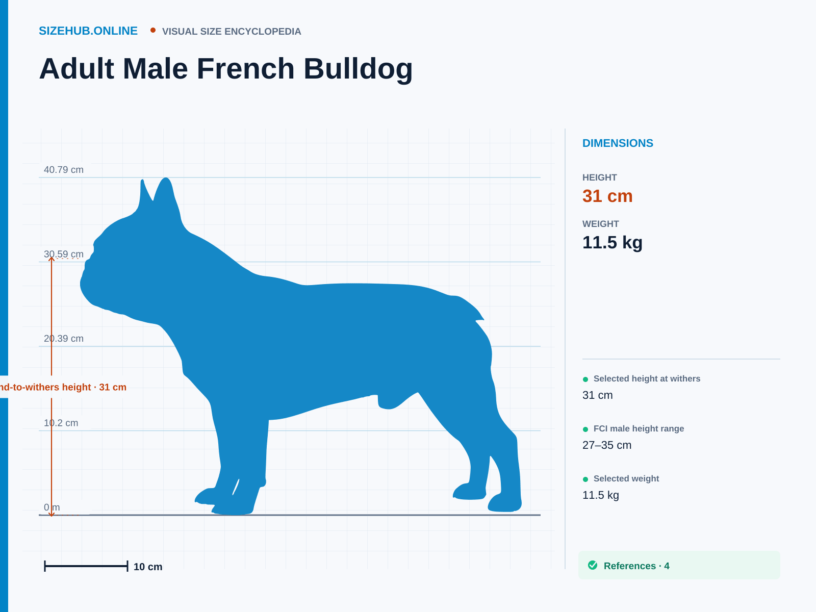Adult Male French Bulldog: Size infographic · Height 31 cm