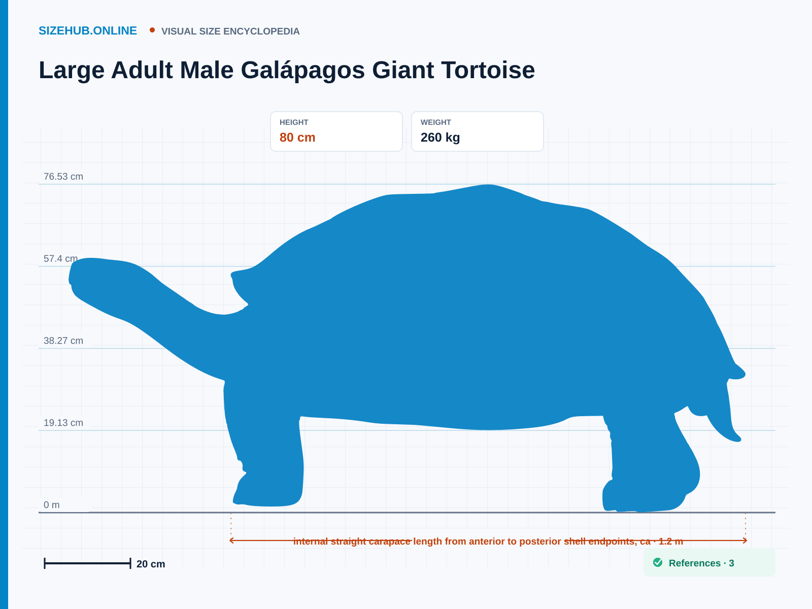 Large Adult Male Galápagos Giant Tortoise: Size infographic · Height 80 cm · Length 1.2 m