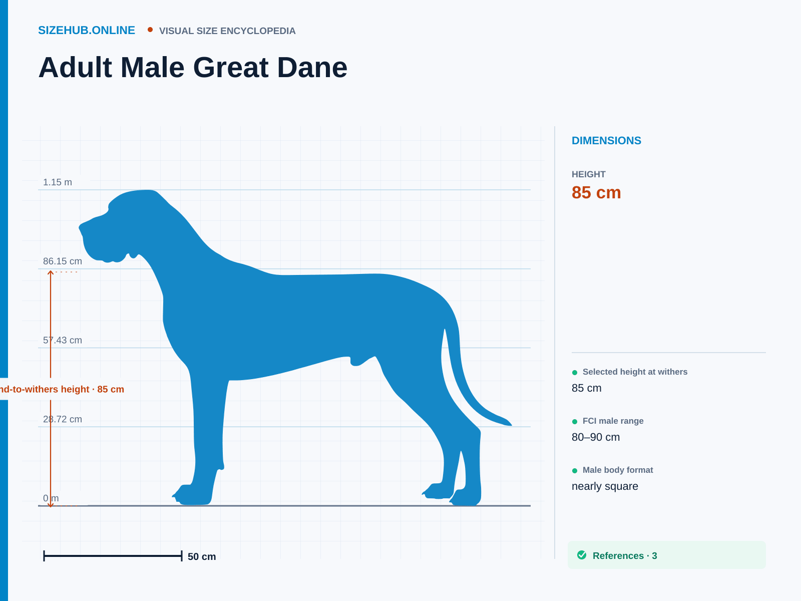 Adult Male Great Dane: Size infographic · Height 85 cm
