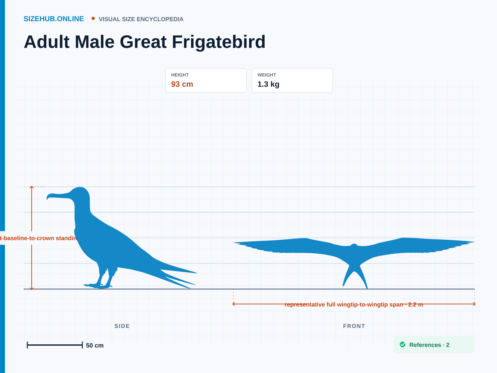 Adult Male Great Frigatebird: Size infographic · Height 93 cm · Width 2.2 m