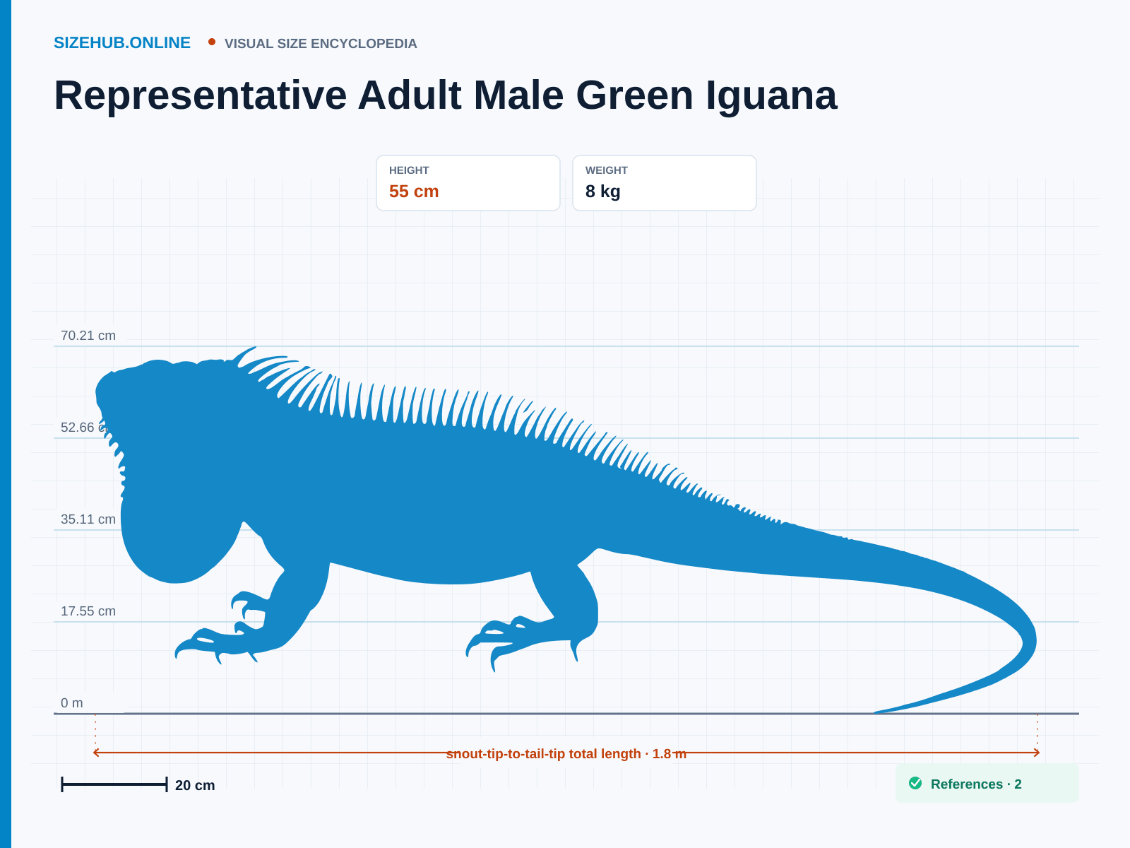 Representative Adult Male Green Iguana: Size infographic · Height 55 cm · Length 1.8 m · Width 28 cm