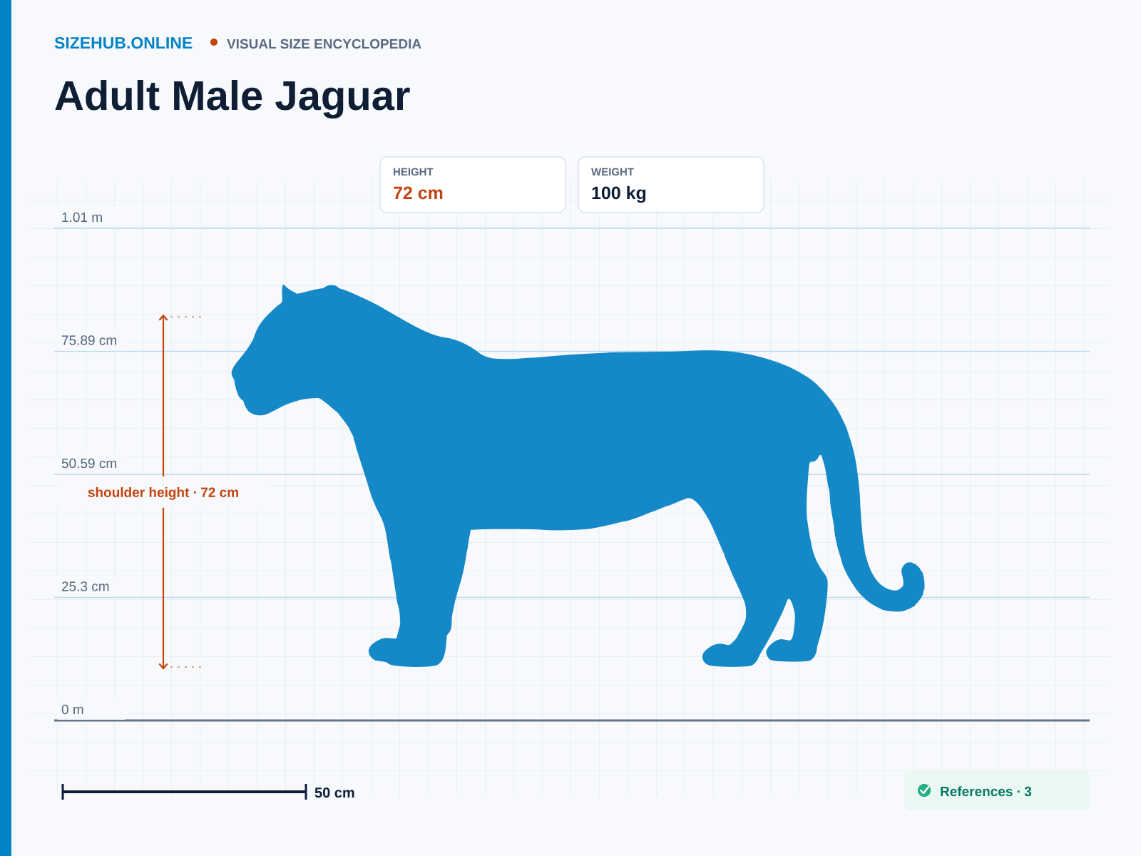 Adult Male Jaguar: Size infographic · Height 72 cm · Length 2 m