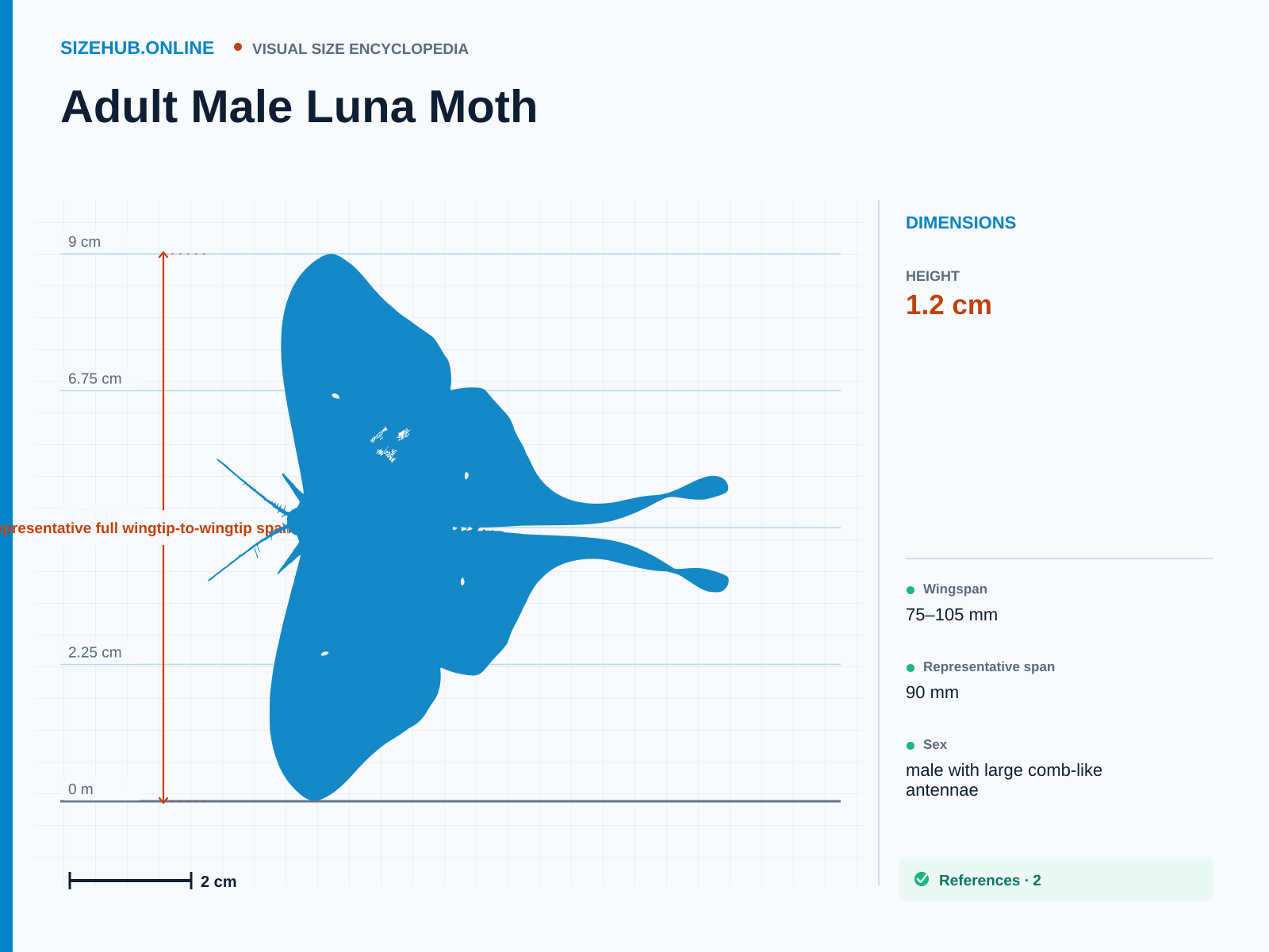 Adult Male Luna Moth: Size infographic · Height 1.2 cm · Length 10.5 cm · Width 9 cm