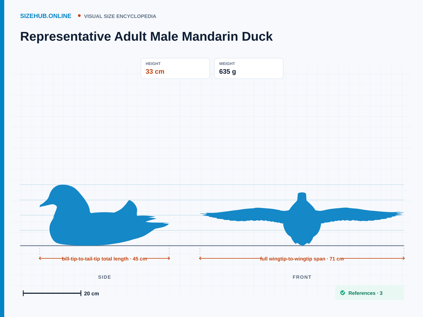 Representative Adult Male Mandarin Duck: Size infographic · Height 33 cm · Length 45 cm · Width 71 cm