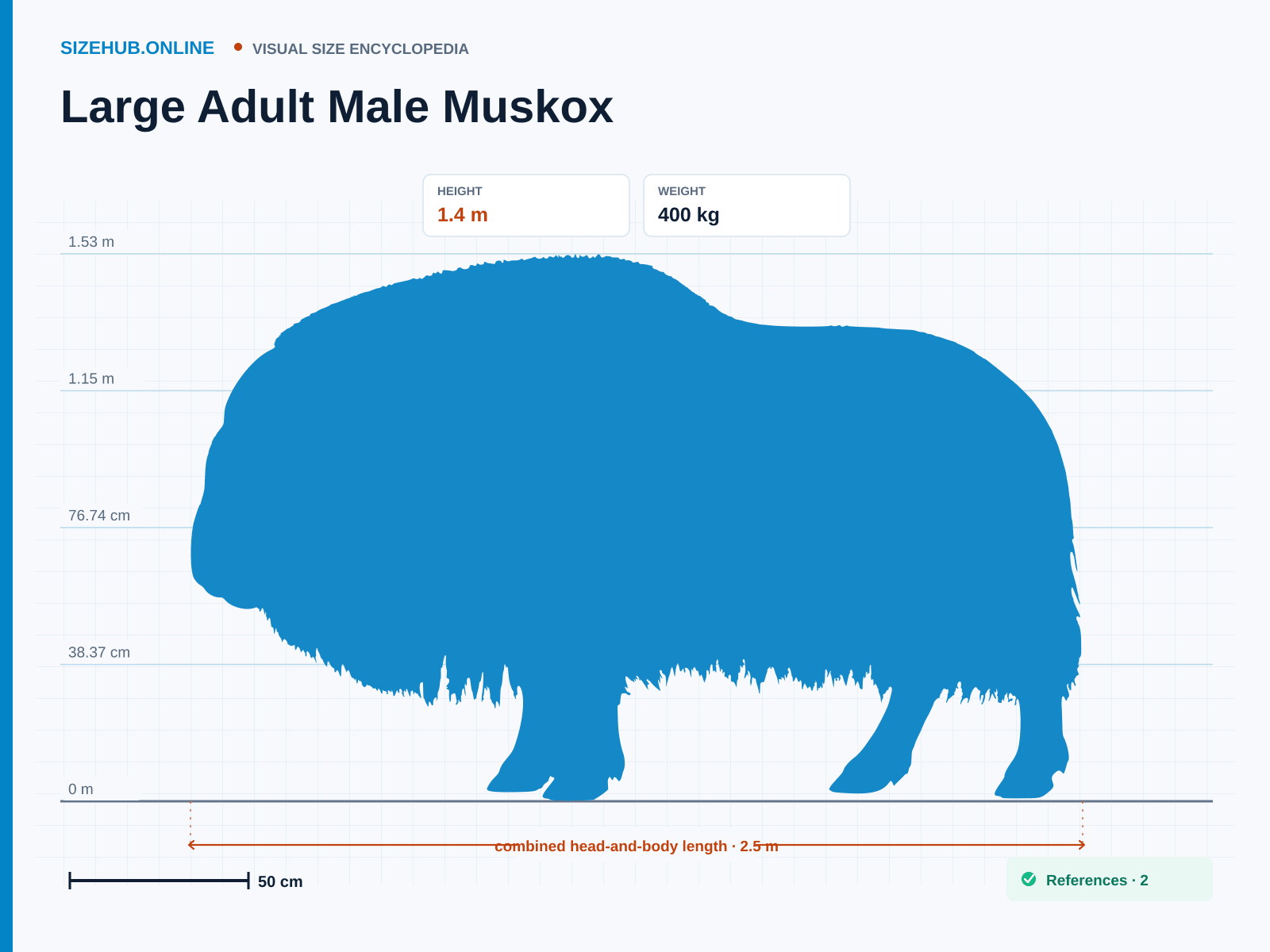 Large Adult Male Muskox: Size infographic · Height 1.4 m · Length 2.5 m