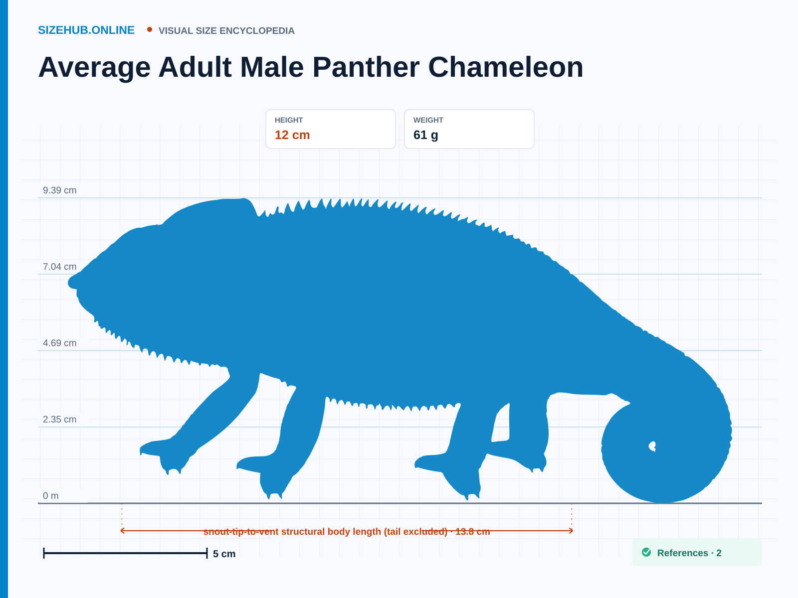 Average Adult Male Panther Chameleon: Size infographic · Height 12 cm · Length 13.8 cm · Width 6 cm
