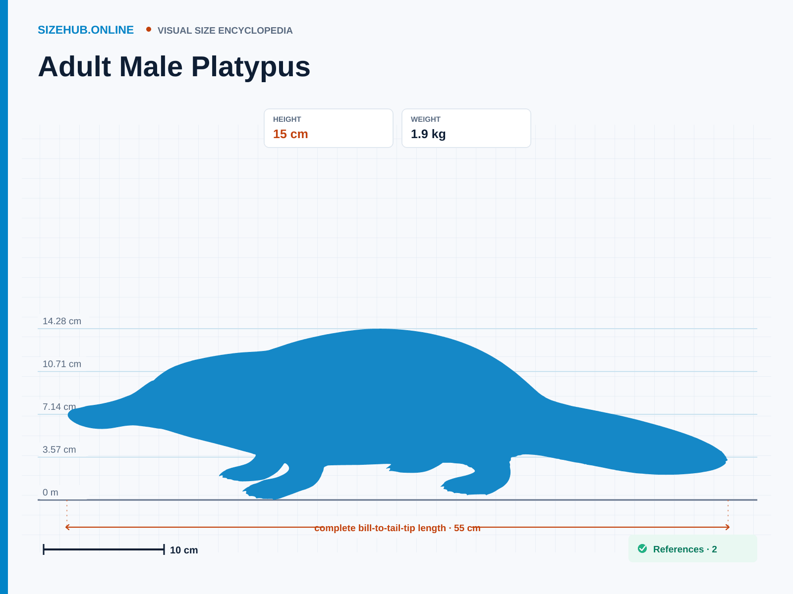 Adult Male Platypus: Size infographic · Height 15 cm · Length 55 cm · Width 18 cm