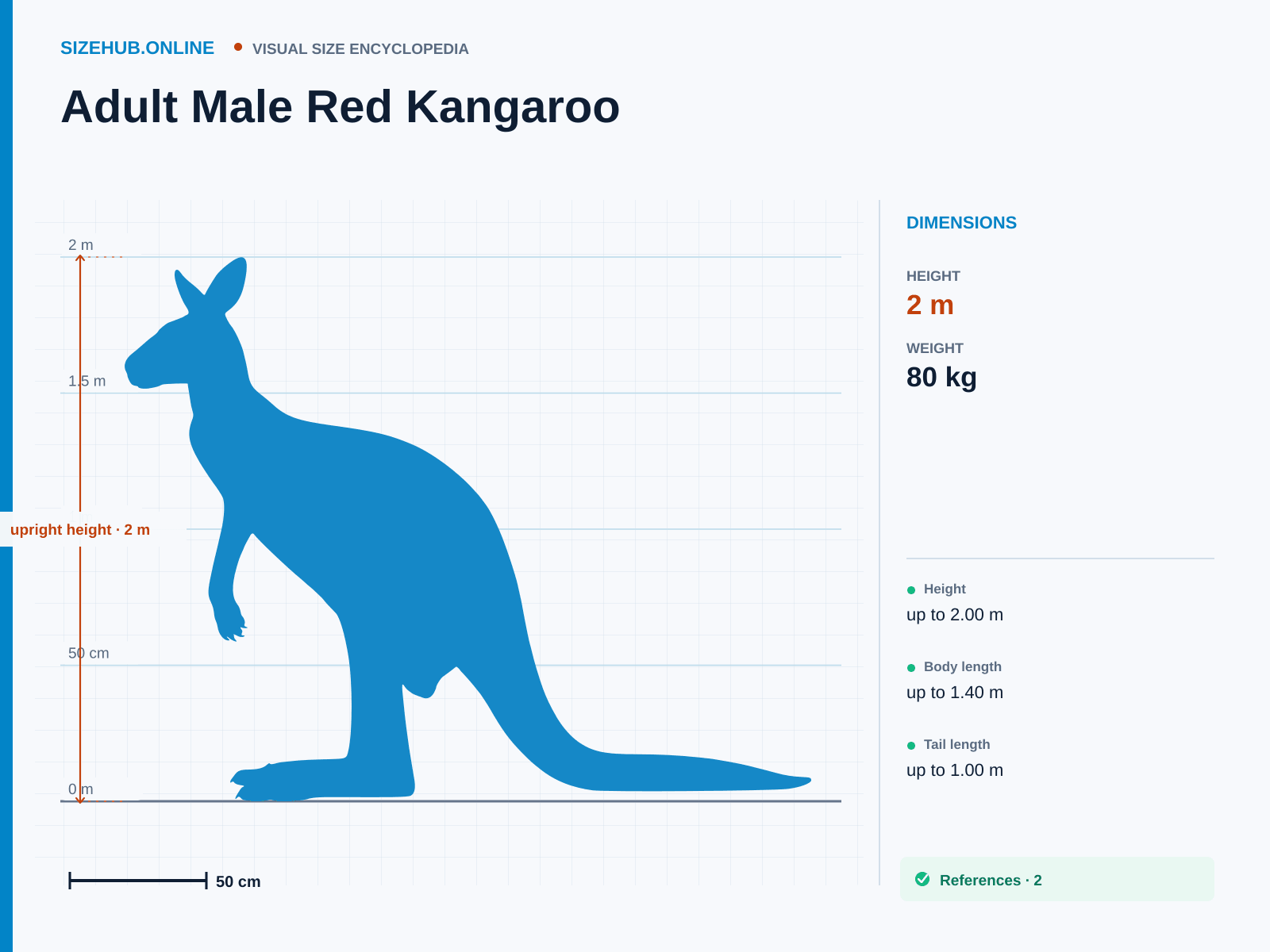 Adult Male Red Kangaroo: Size infographic · Height 2 m · Length 2.4 m