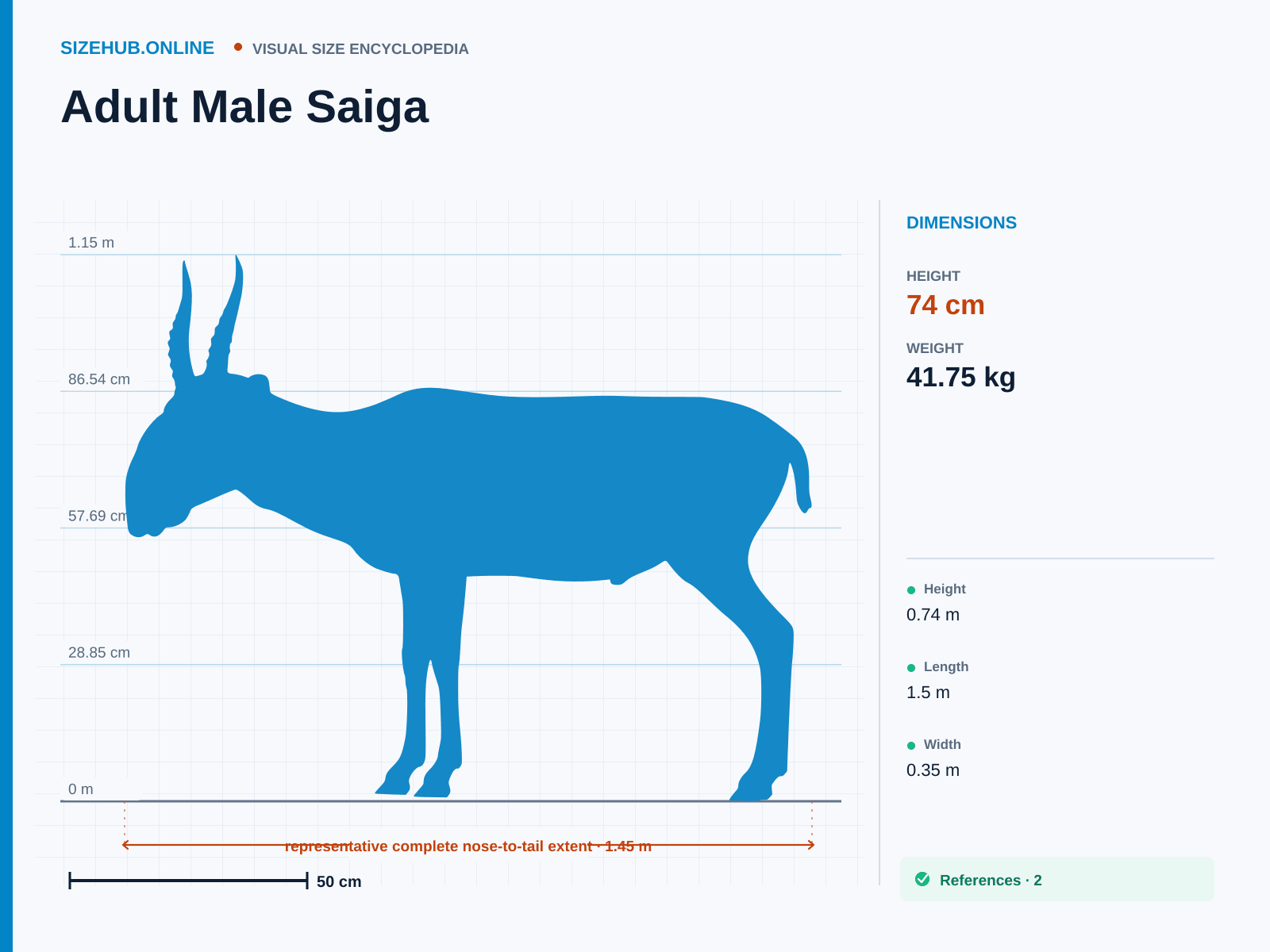 Adult Male Saiga: Size infographic · Height 74 cm · Length 1.45 m · Width 35 cm