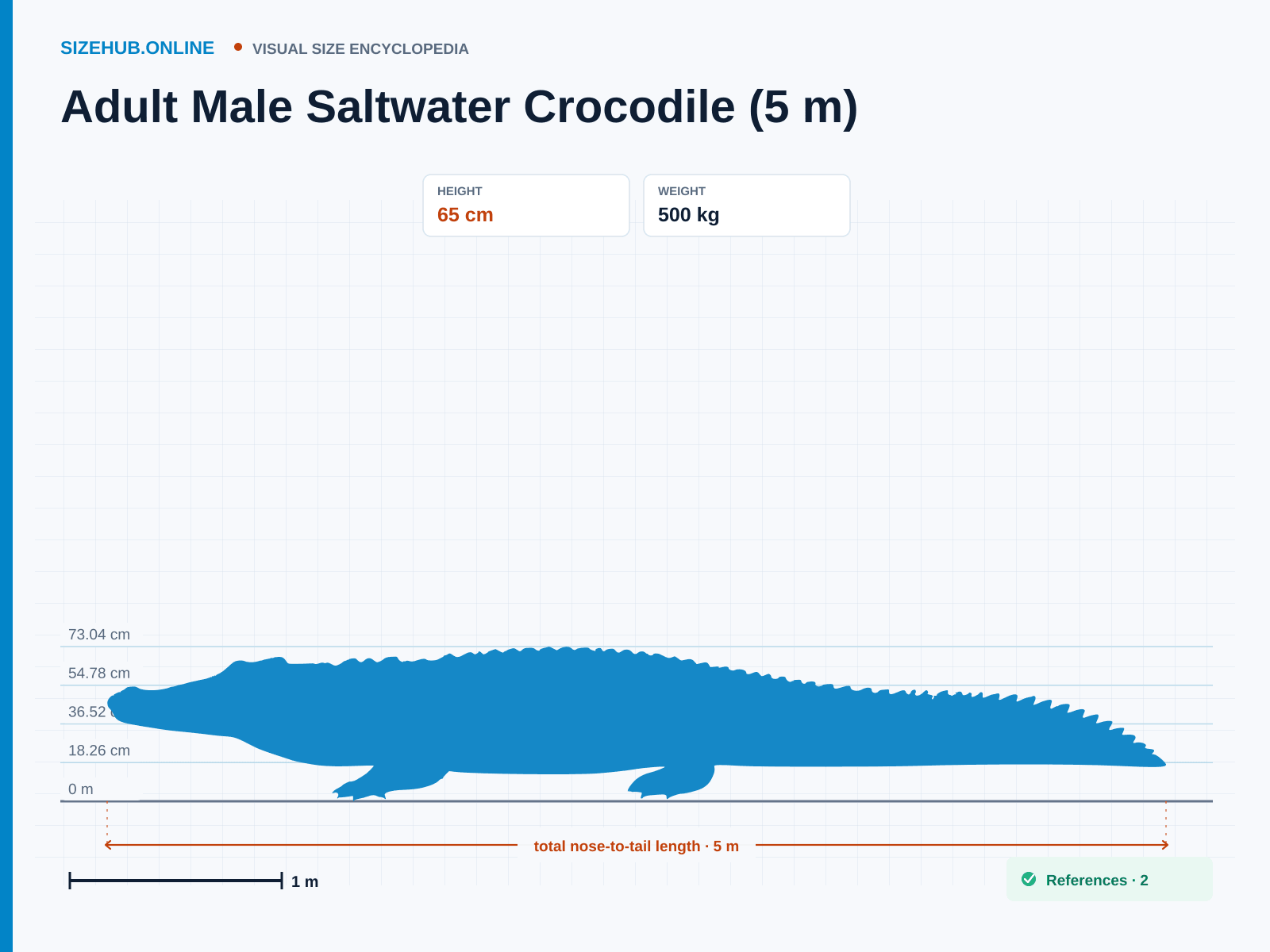 Adult Male Saltwater Crocodile (5 m): Size infographic · Height 65 cm · Length 5 m · Width 80 cm