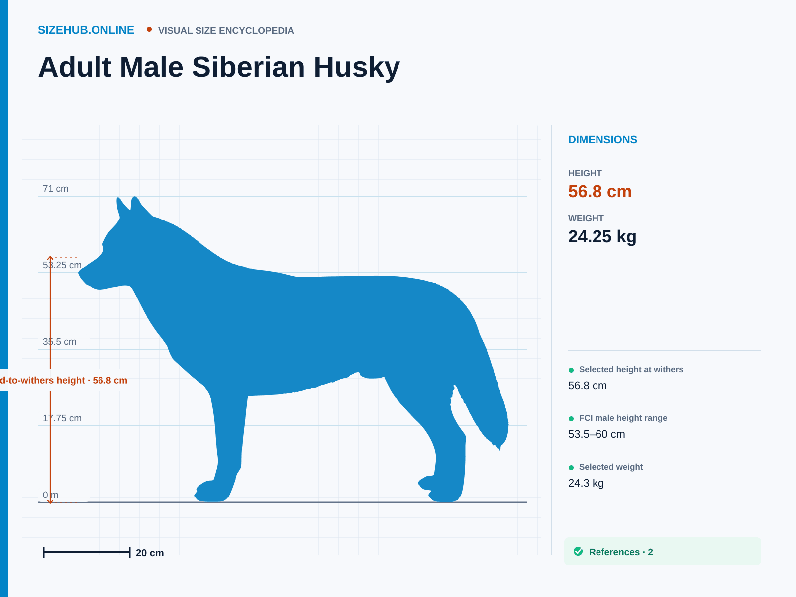 Adult Male Siberian Husky: Size infographic · Height 56.8 cm