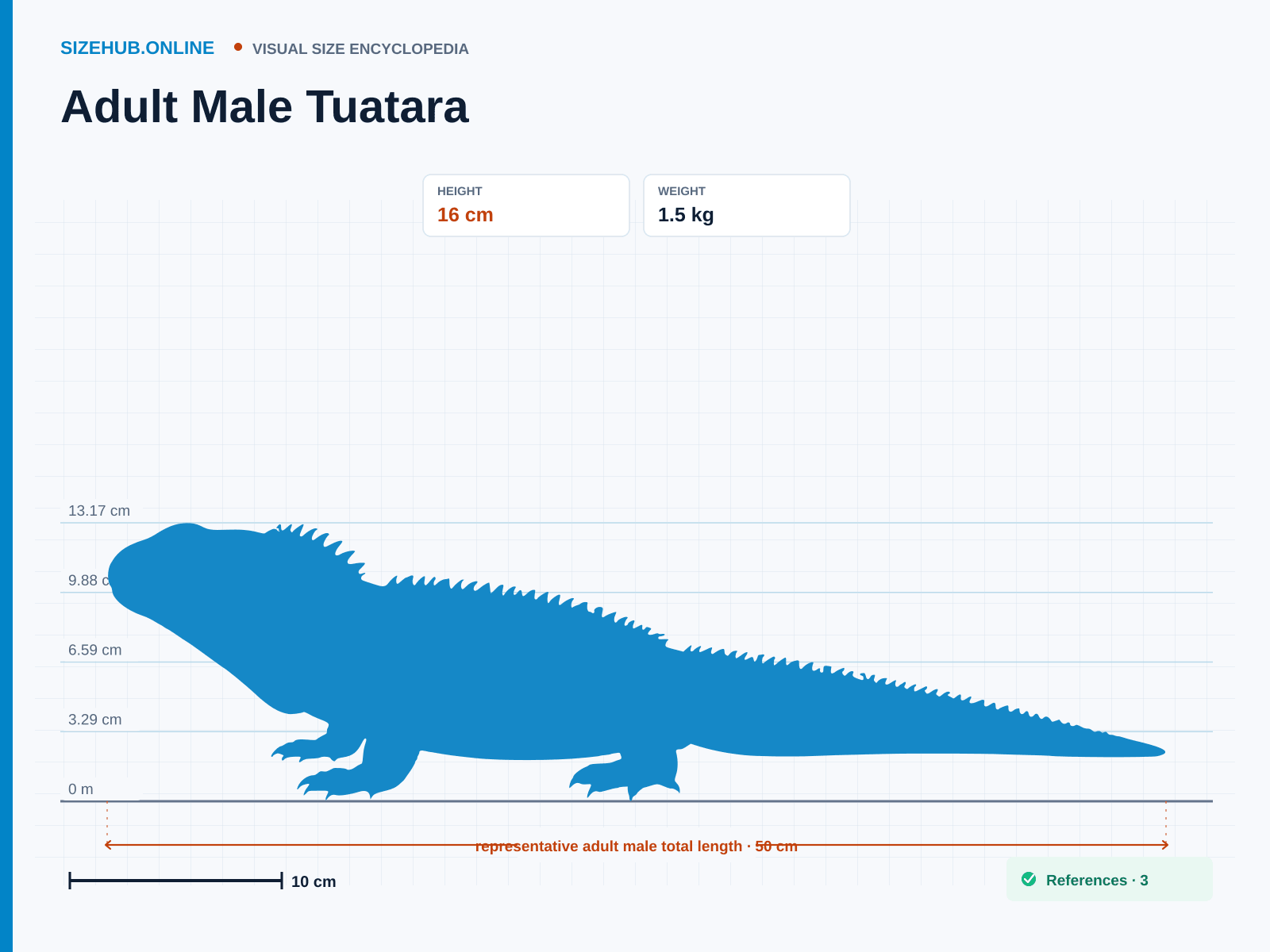 Adult Male Tuatara: Size infographic · Height 16 cm · Length 50 cm