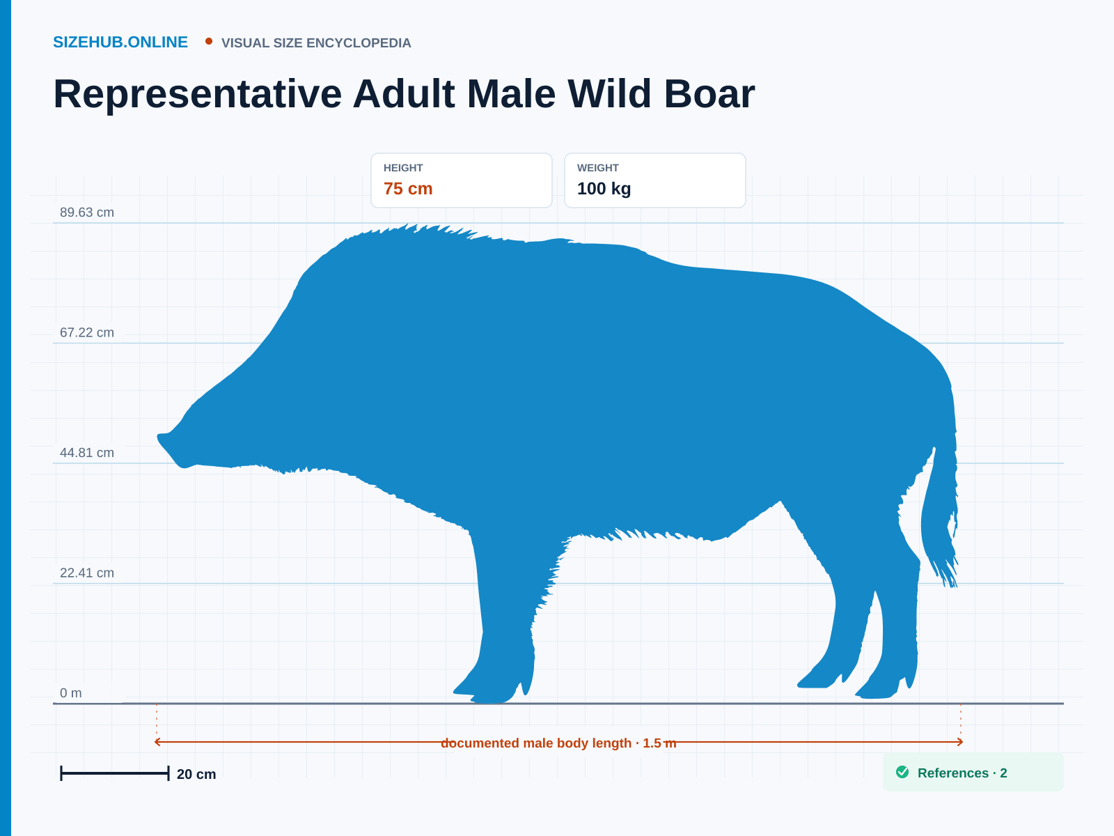 Representative Adult Male Wild Boar: Size infographic · Height 75 cm · Length 1.5 m
