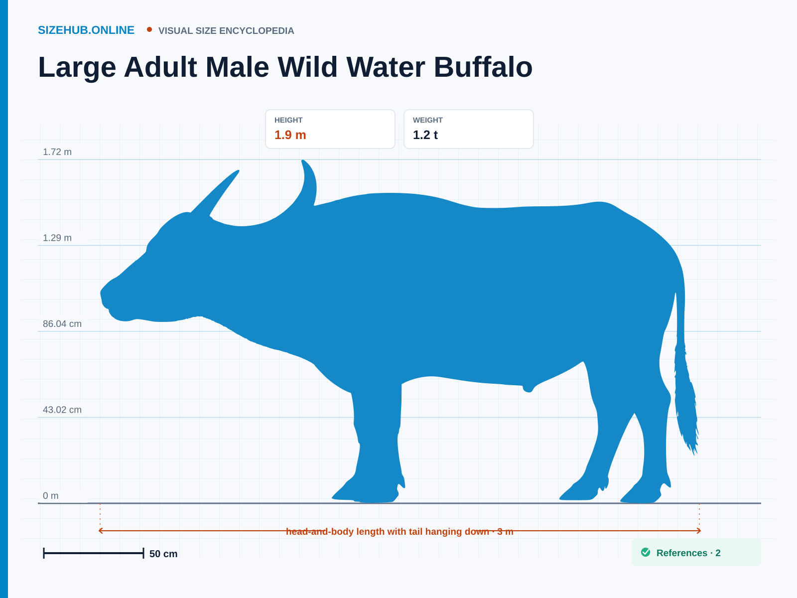 Large Adult Male Wild Water Buffalo: Size infographic · Height 1.9 m · Length 3 m