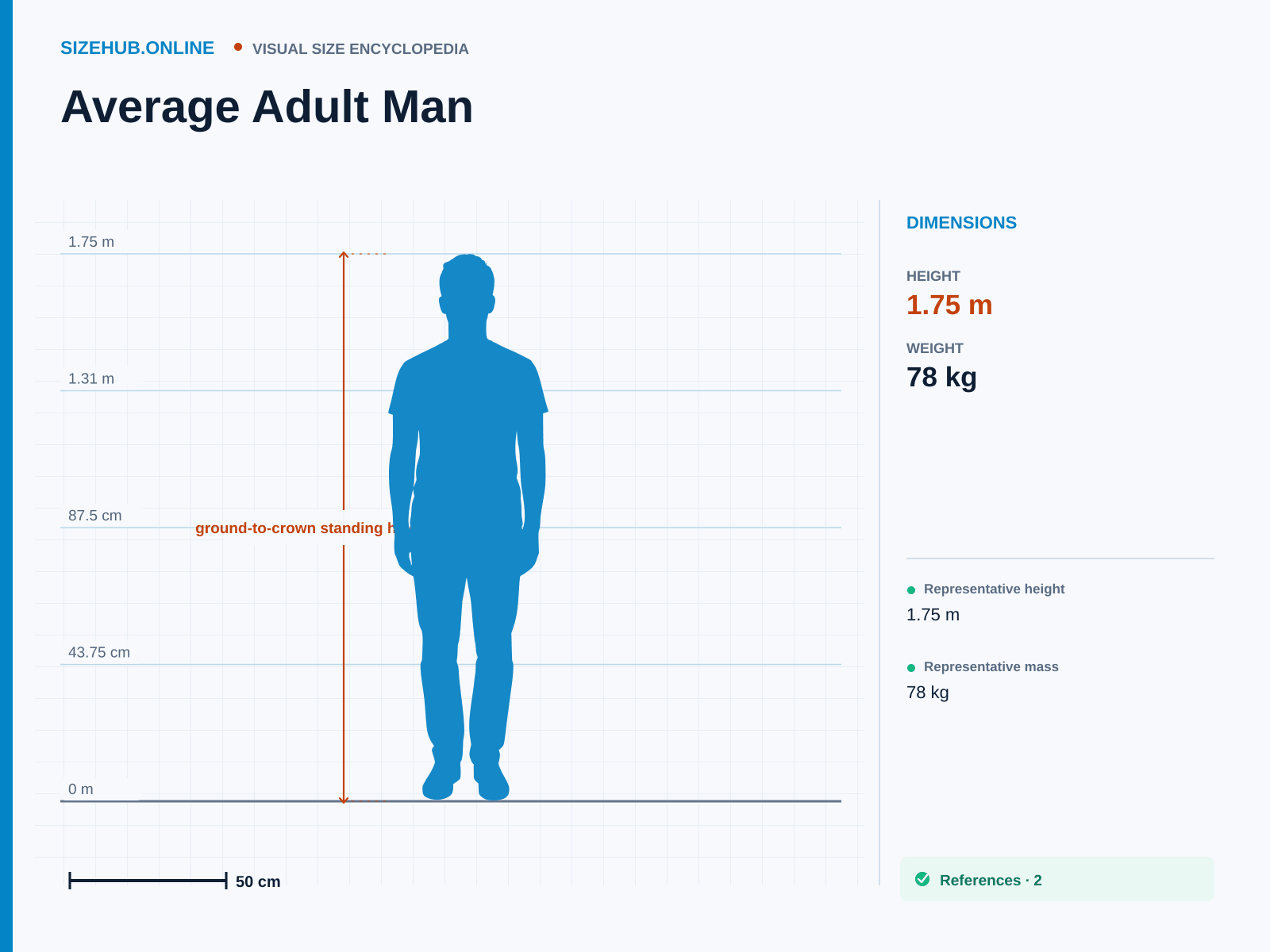 Average Adult Man: Size infographic · Height 1.75 m