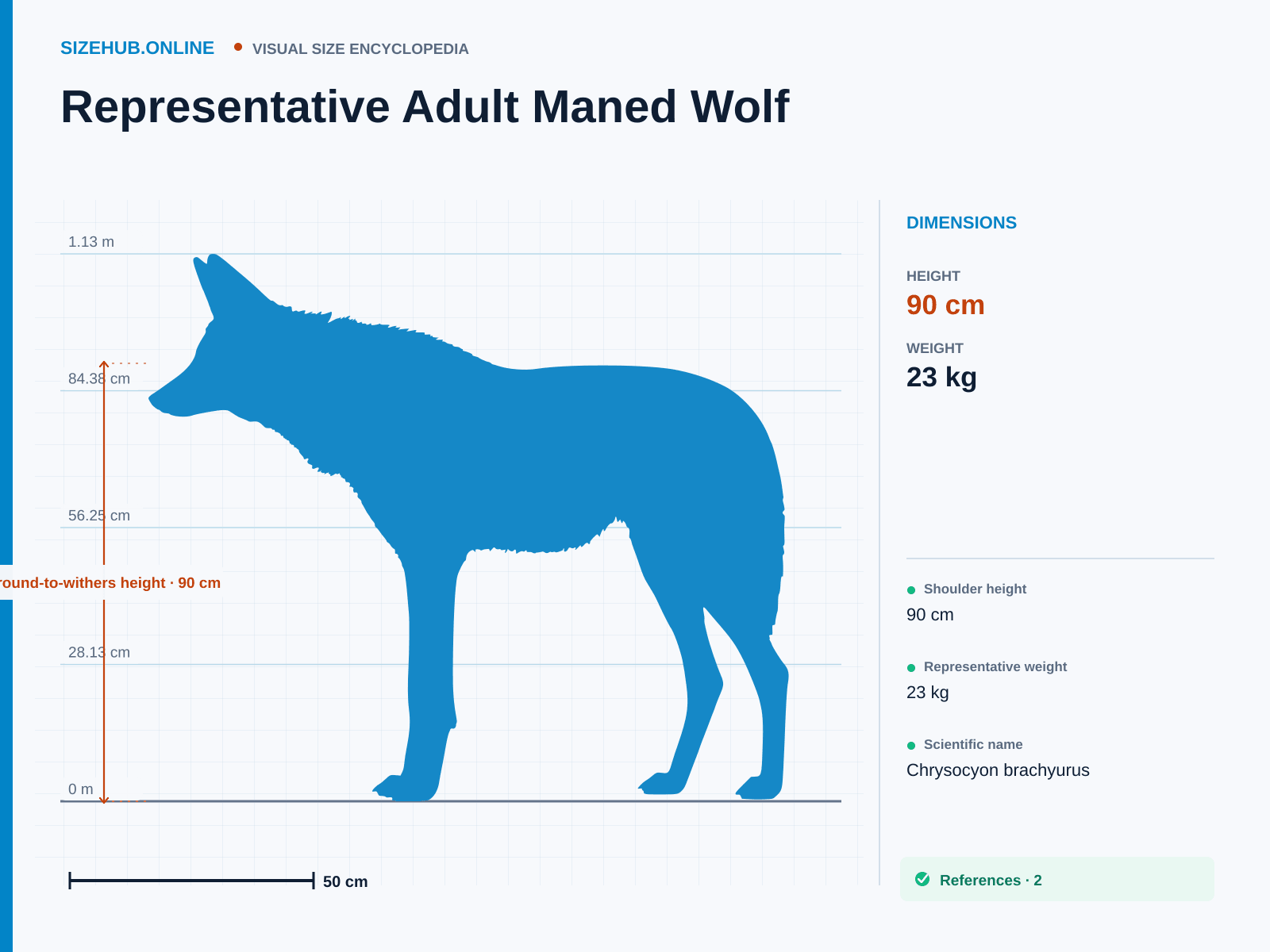 Representative Adult Maned Wolf: Size infographic · Height 90 cm