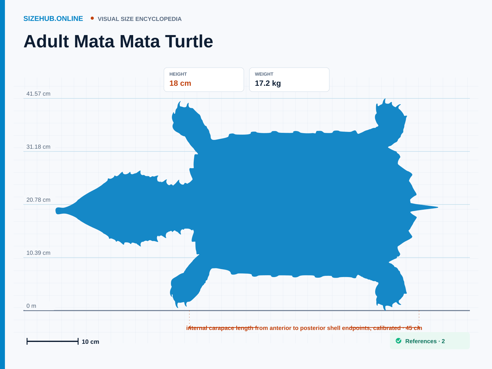 Adult Mata Mata Turtle: Size infographic · Height 18 cm · Length 45 cm