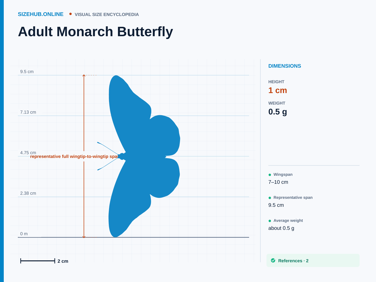Adult Monarch Butterfly: Size infographic · Height 1 cm · Length 5.5 cm · Width 9.5 cm