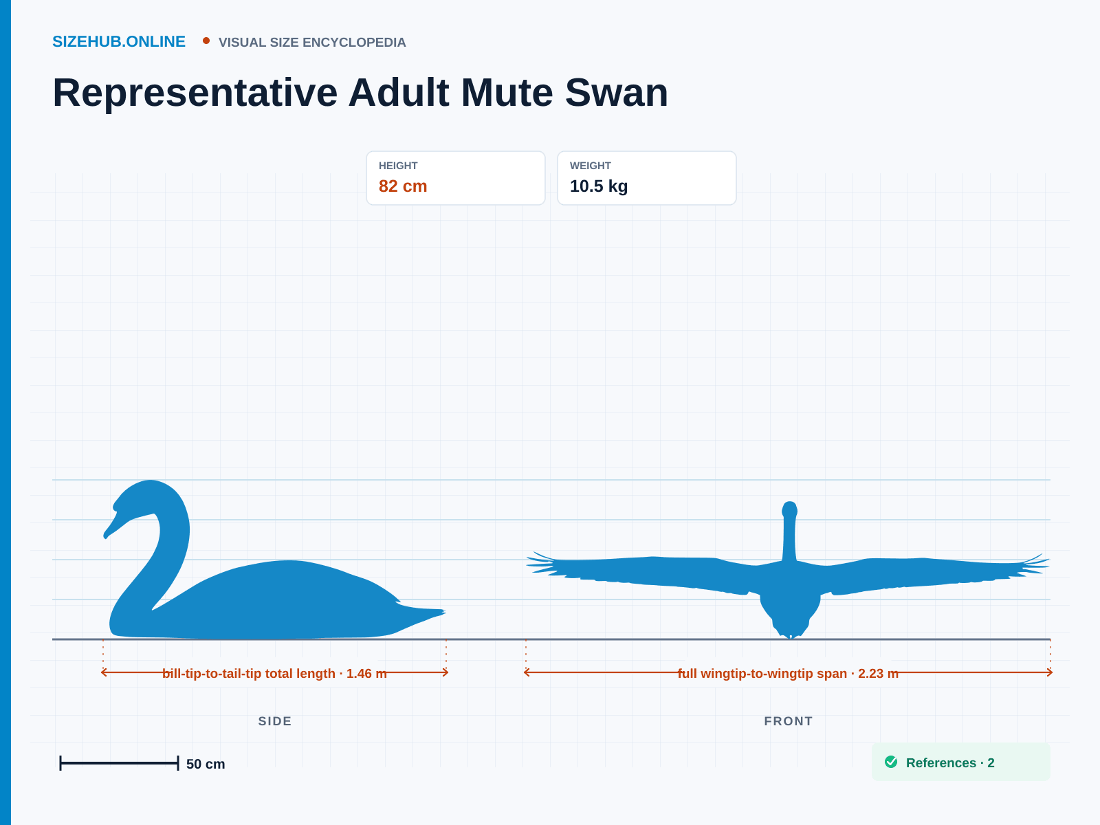 Representative Adult Mute Swan: Size infographic · Height 82 cm · Length 1.46 m · Width 2.23 m
