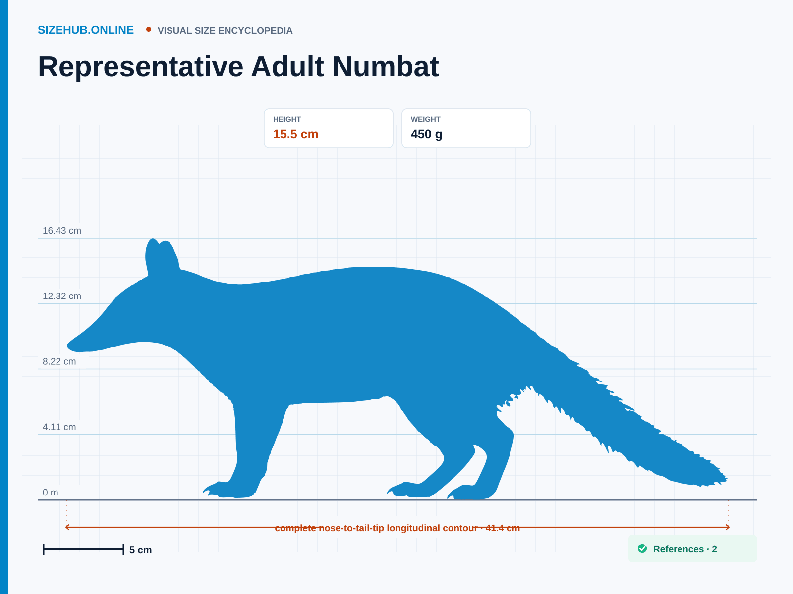 Representative Adult Numbat: Size infographic · Height 15.5 cm · Length 41.4 cm
