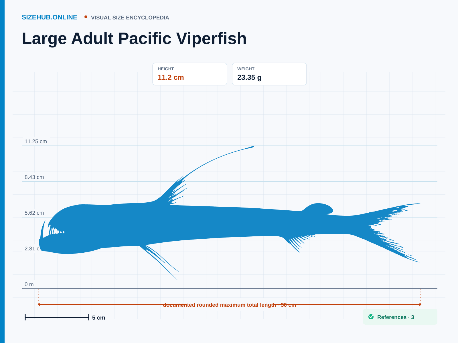 Large Adult Pacific Viperfish: Size infographic · Height 11.2 cm · Length 30 cm