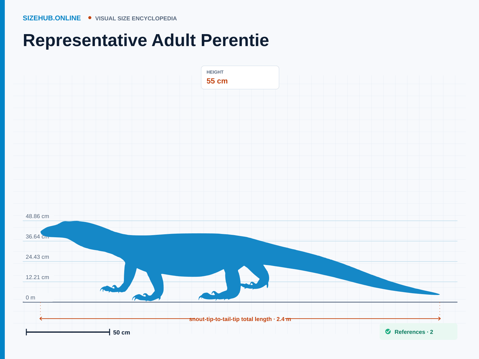 Representative Adult Perentie: Size infographic · Height 55 cm · Length 2.4 m · Width 35 cm