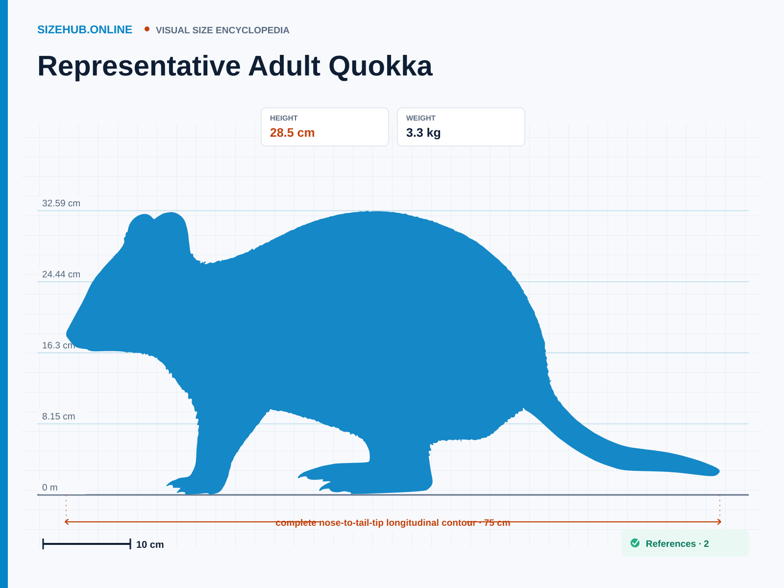 Representative Adult Quokka: Size infographic · Height 28.5 cm · Length 75 cm