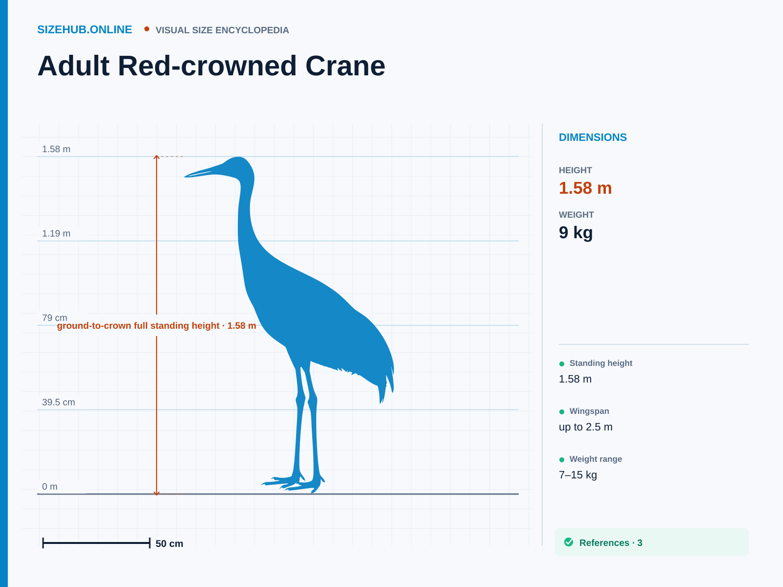 Adult Red-crowned Crane: Size infographic · Height 1.58 m · Width 2.5 m