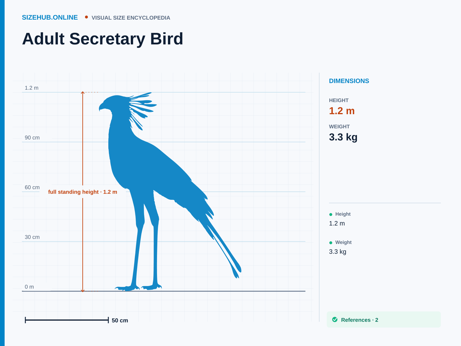 Adult Secretary Bird: Size infographic · Height 1.2 m