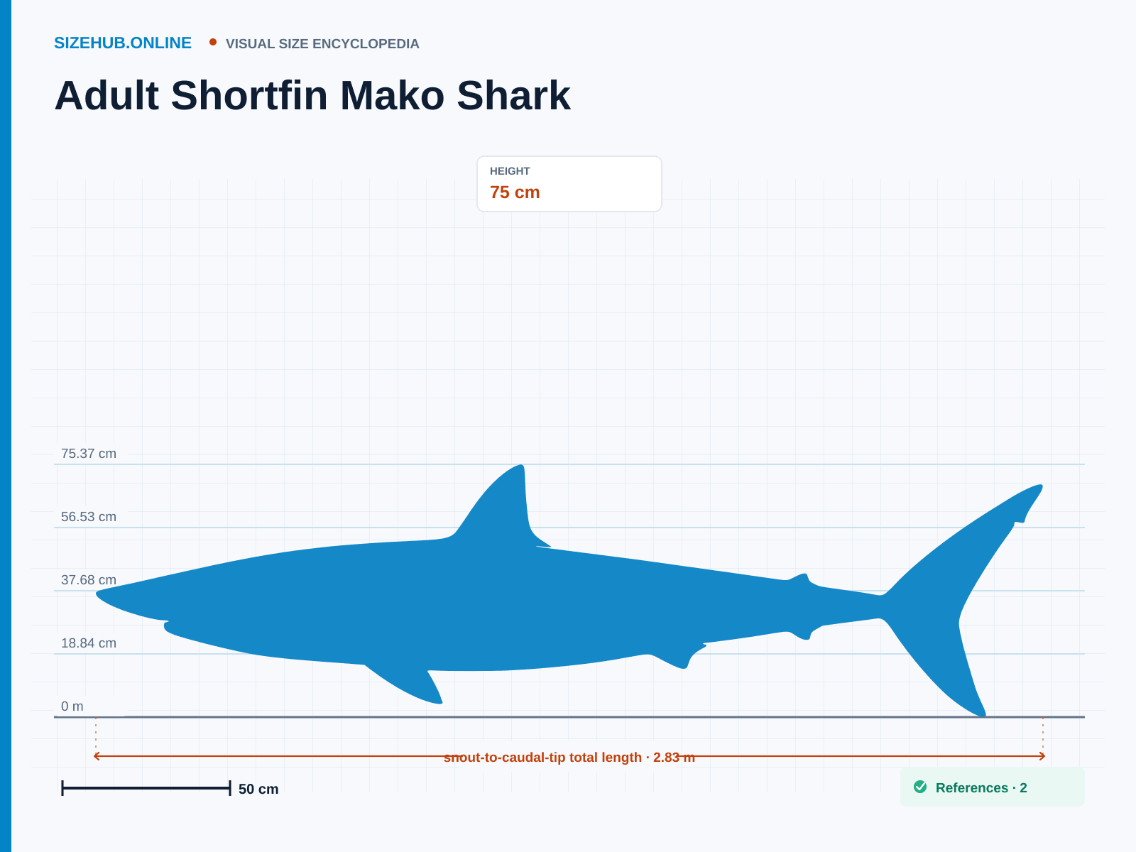 Adult Shortfin Mako Shark: Size infographic · Height 75 cm · Length 2.83 m