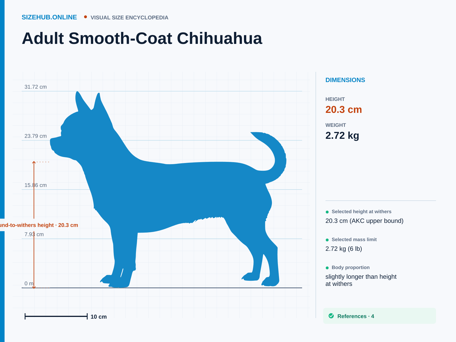 Adult Smooth-Coat Chihuahua: Size infographic · Height 20.3 cm