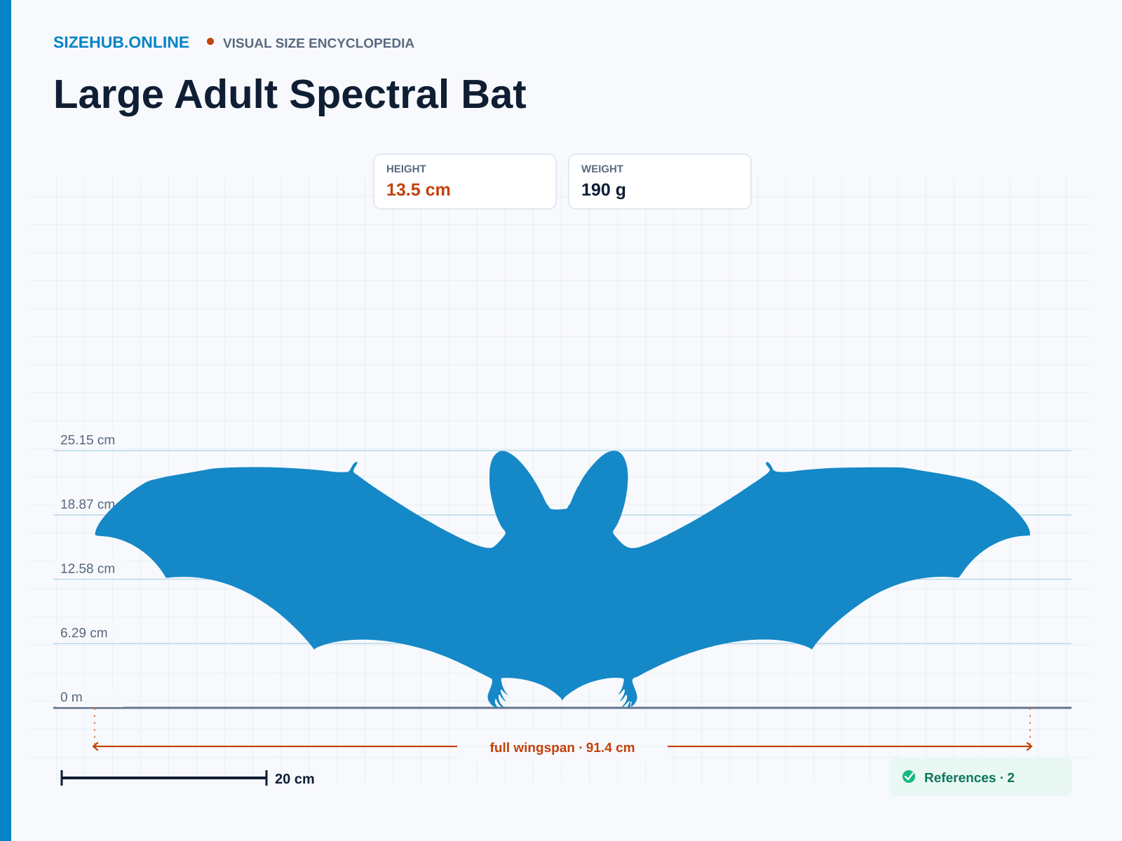 Large Adult Spectral Bat: Size infographic · Height 13.5 cm · Width 91.4 cm