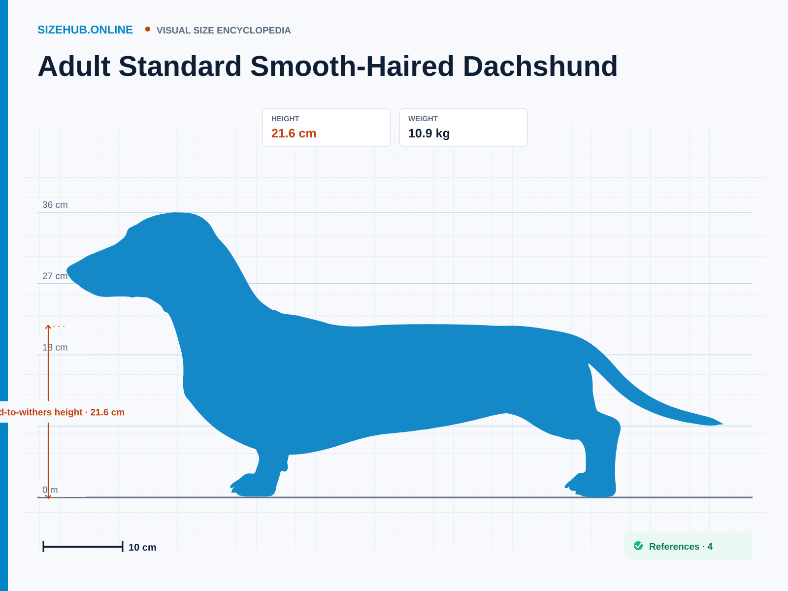 Adult Standard Smooth-Haired Dachshund: Size infographic · Height 21.6 cm