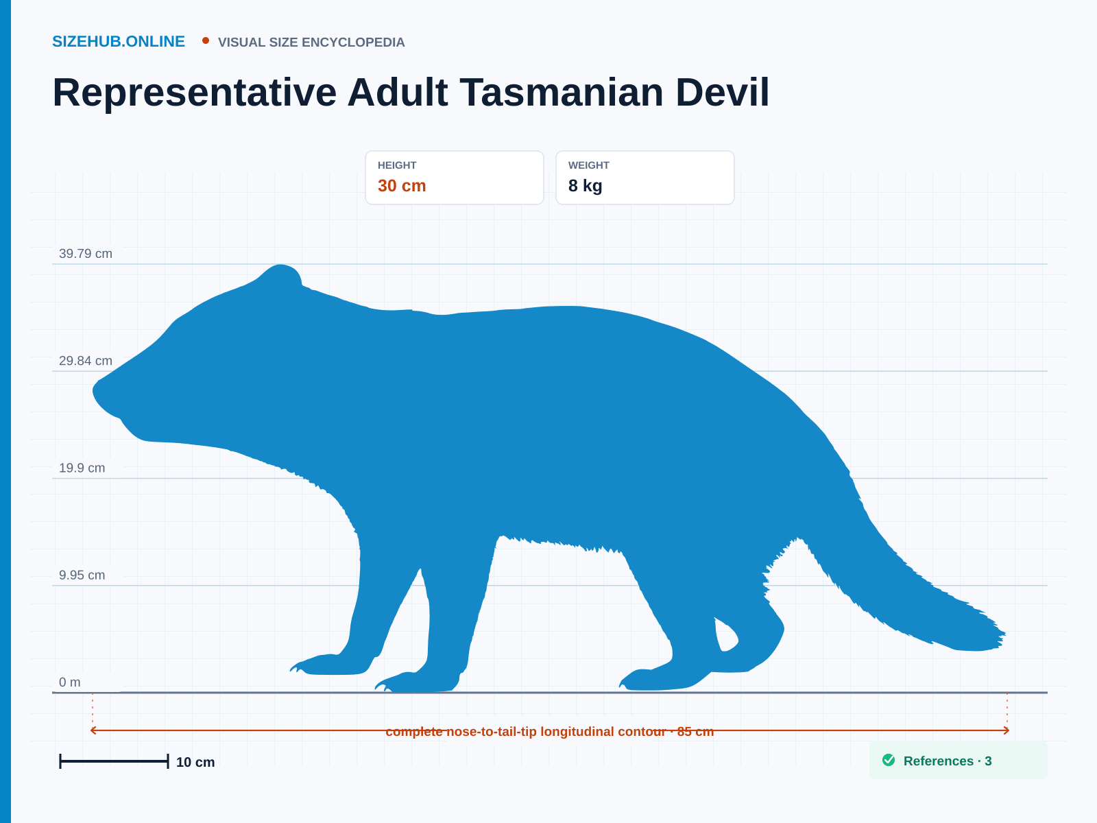 Representative Adult Tasmanian Devil: Size infographic · Height 30 cm · Length 85 cm