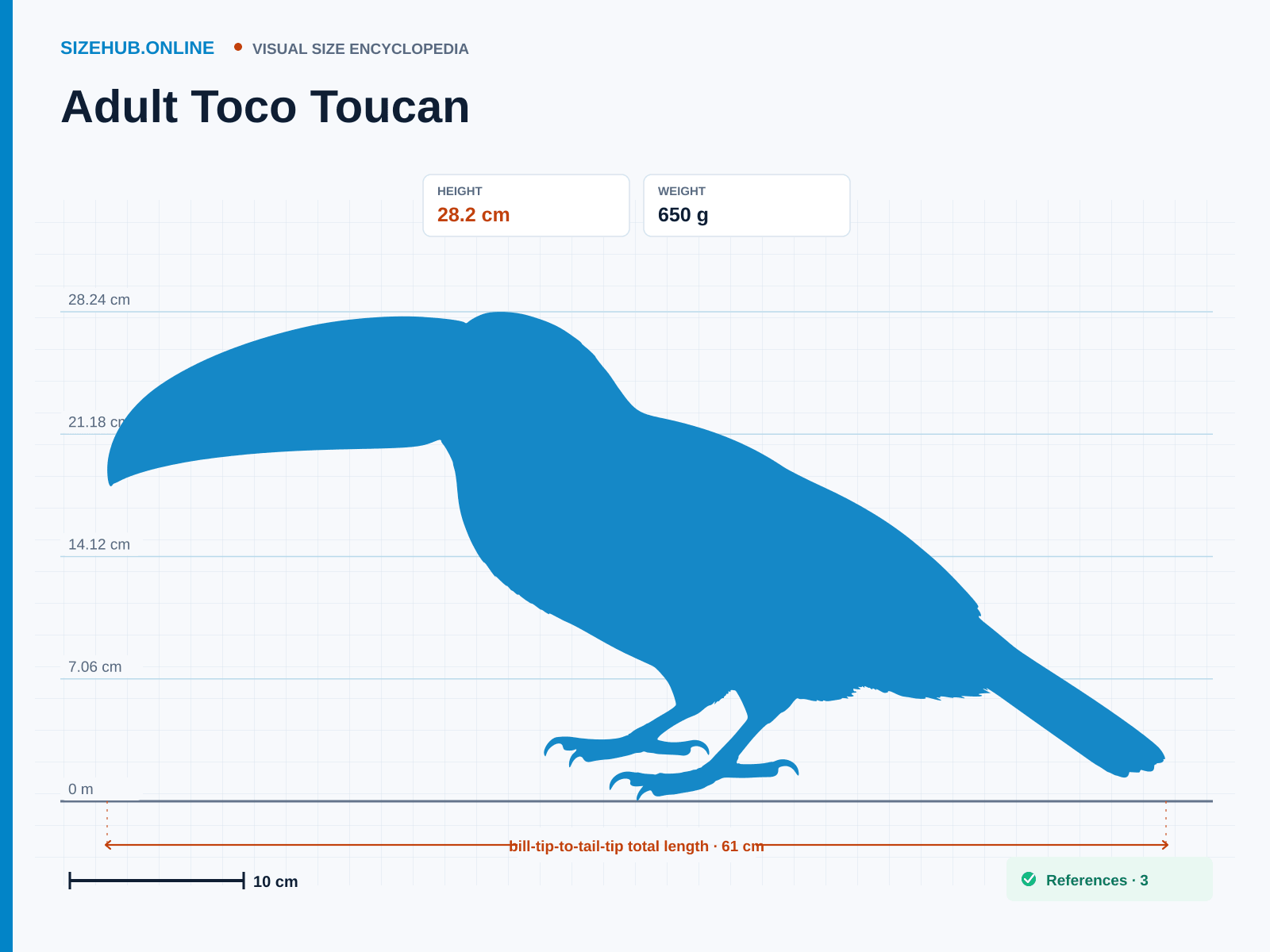 Adult Toco Toucan: Size infographic · Height 28.2 cm · Length 61 cm