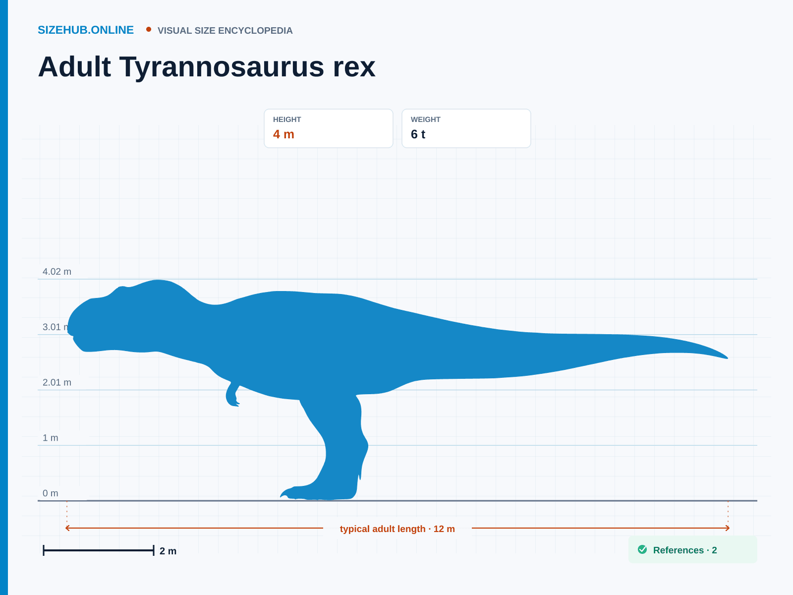 Adult Tyrannosaurus rex: Size infographic · Height 4 m · Length 12 m · Width 1.8 m