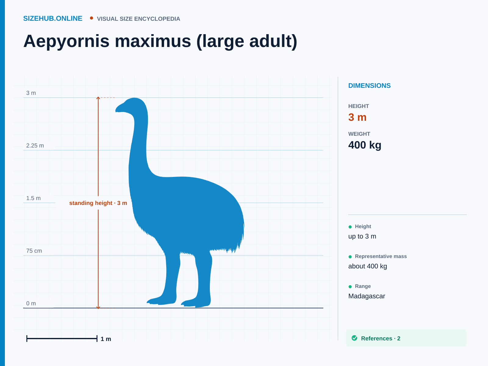 Aepyornis maximus (large adult): Size infographic · Height 3 m