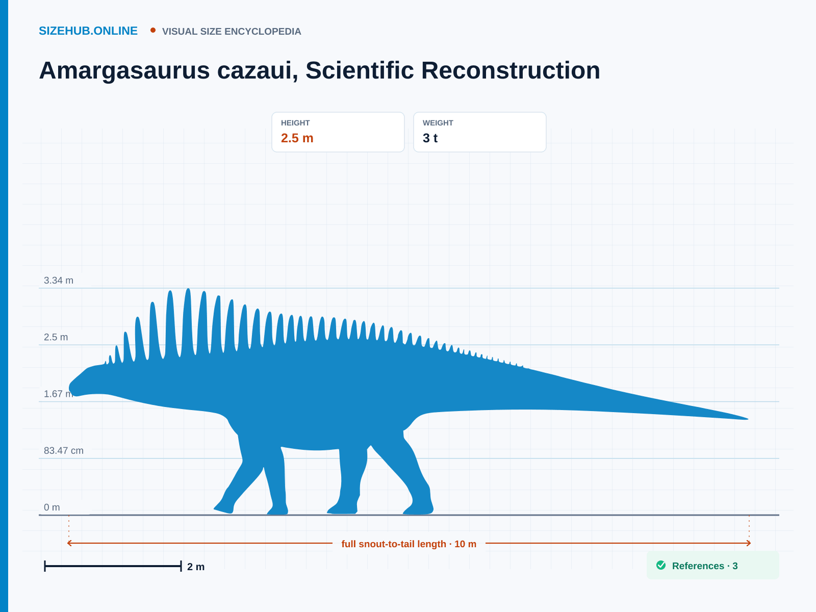 Amargasaurus cazaui, Scientific Reconstruction: Size infographic · Height 2.5 m · Length 10 m · Width 1.2 m