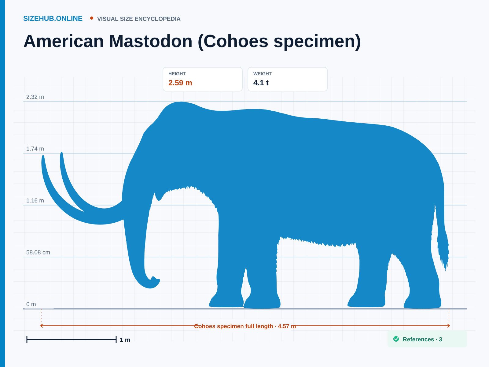 American Mastodon (Cohoes specimen): Size infographic · Height 2.59 m · Length 4.57 m