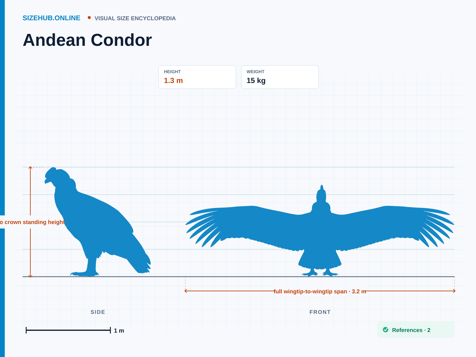 Andean Condor: Size infographic · Height 1.3 m · Length 1.3 m · Width 3.2 m