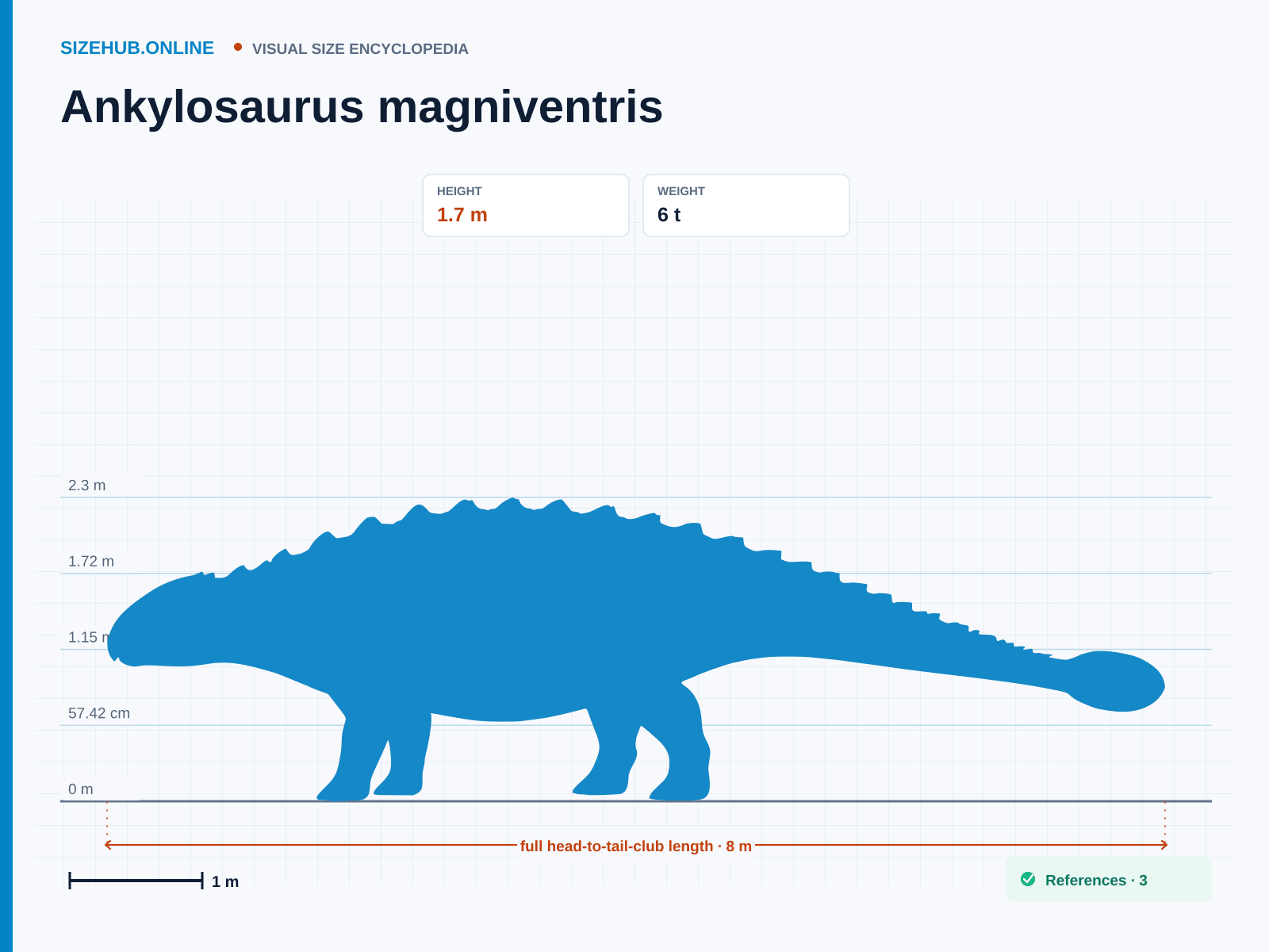 Ankylosaurus magniventris: Size infographic · Height 1.7 m · Length 8 m