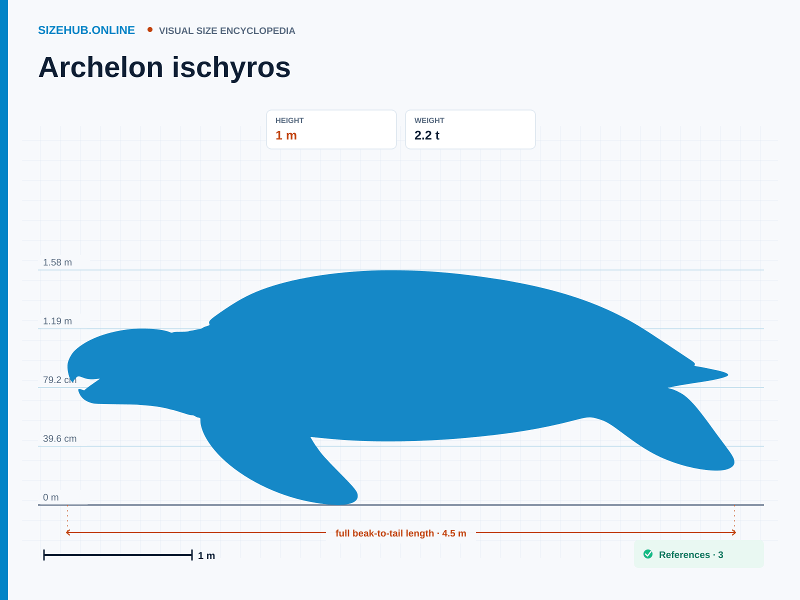 Archelon ischyros: Size infographic · Height 1 m · Length 4.5 m