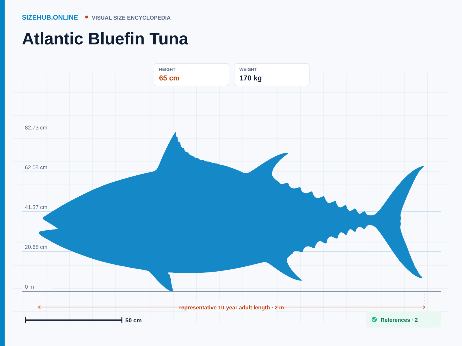 Atlantic Bluefin Tuna: Size infographic · Height 65 cm · Length 2 m · Width 55 cm