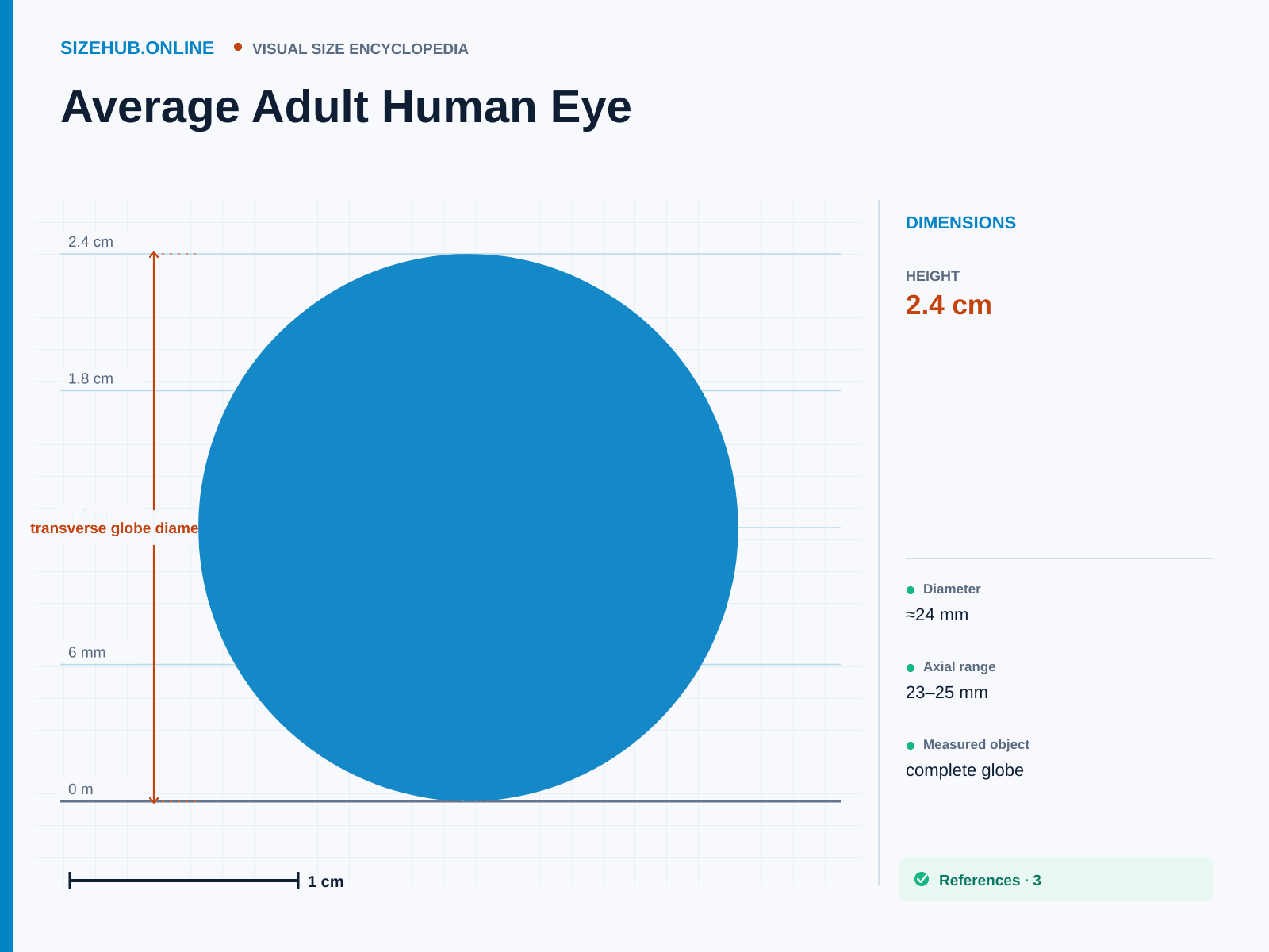 Average Adult Human Eye: Size infographic · Height 2.4 cm · Length 2.4 cm · Width 2.4 cm