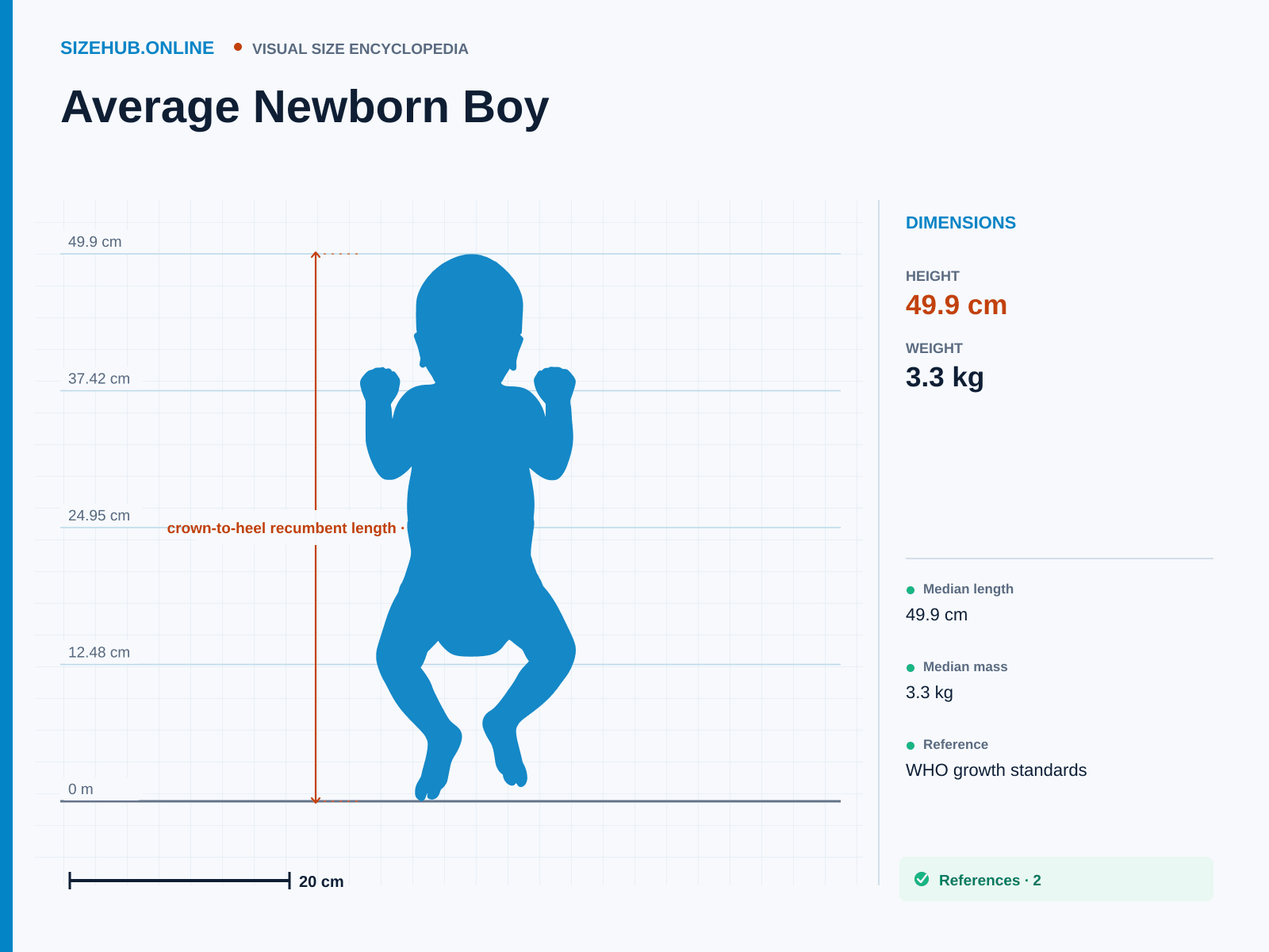 Average Newborn Boy: Size infographic · Height 49.9 cm